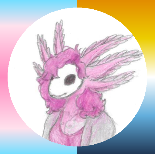 user avatar image for Lyla Shaw