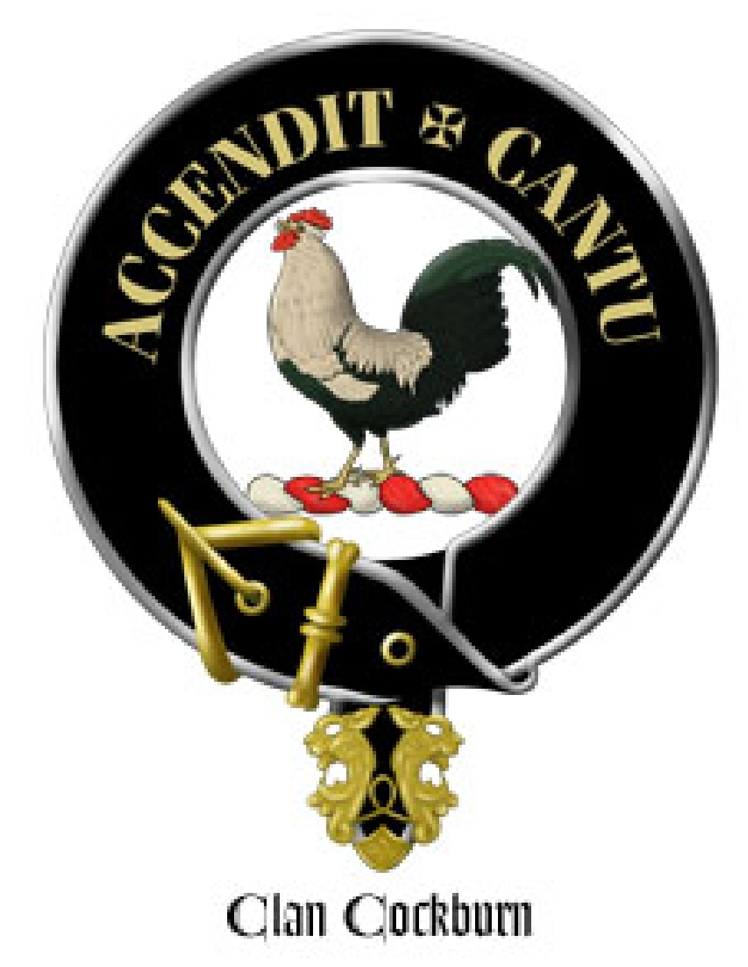user avatar image for Andrew Cockburn