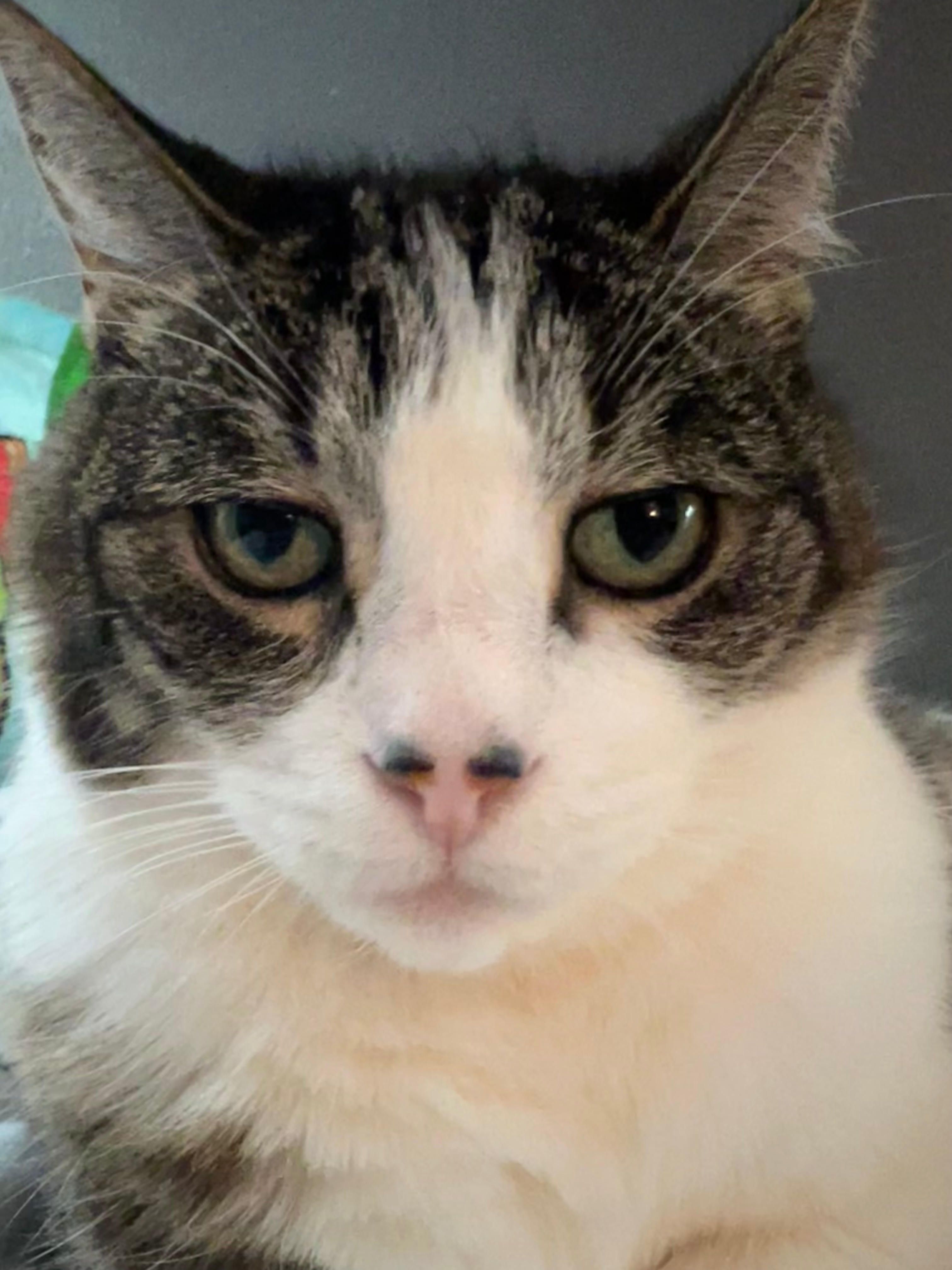 user avatar image for Ryan R