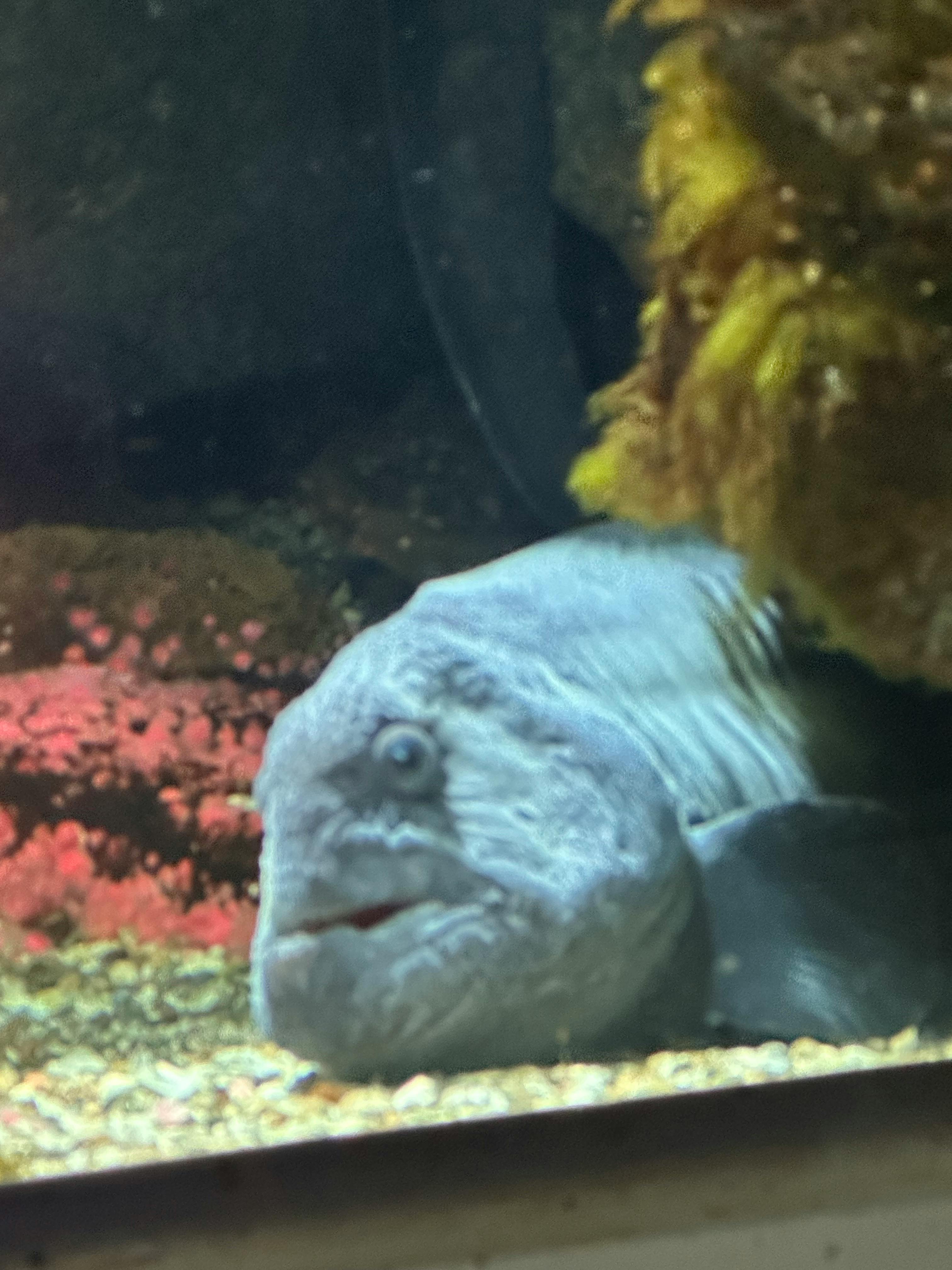 user avatar image for Lucret22