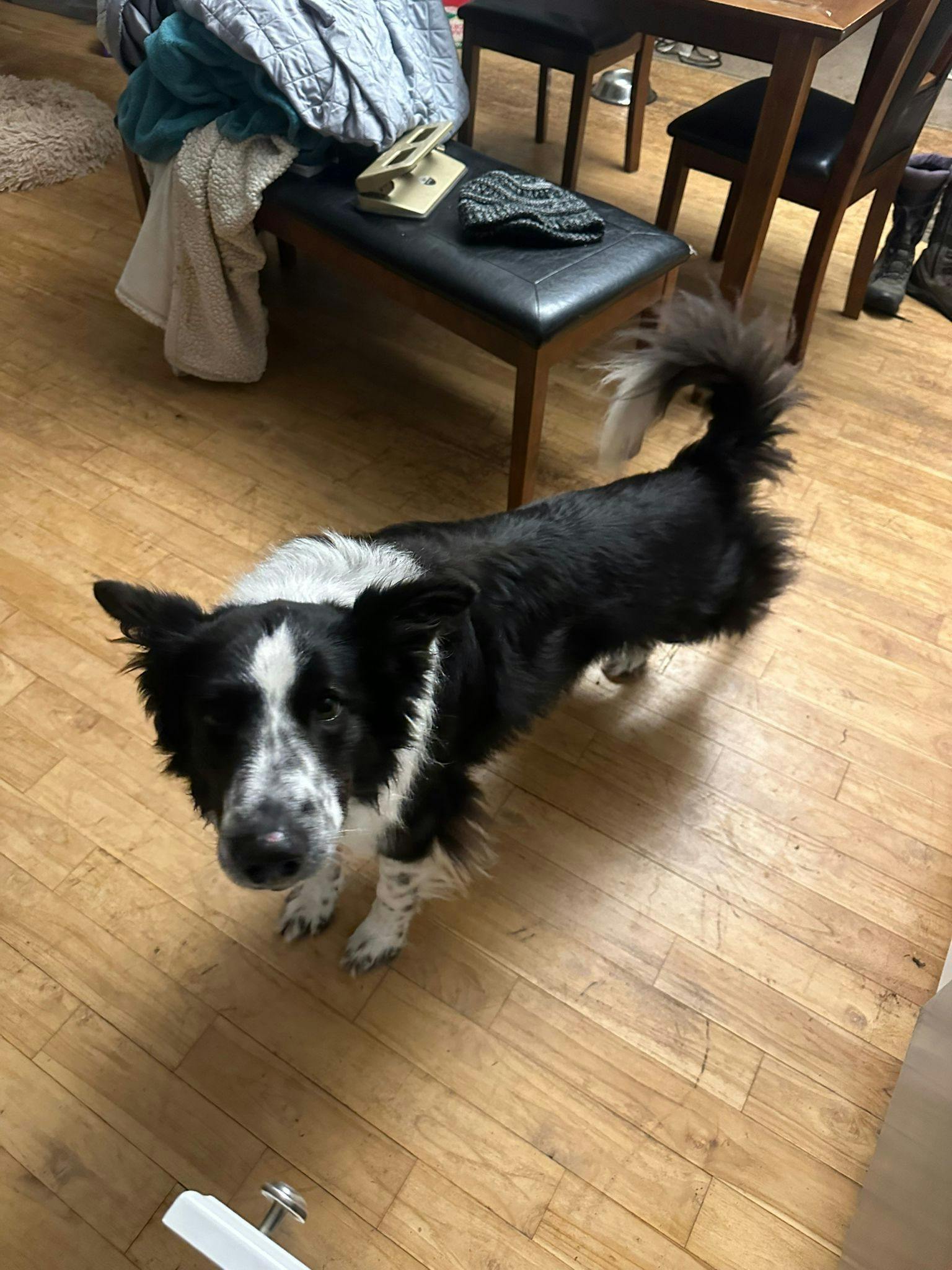 user avatar image for Sorsha