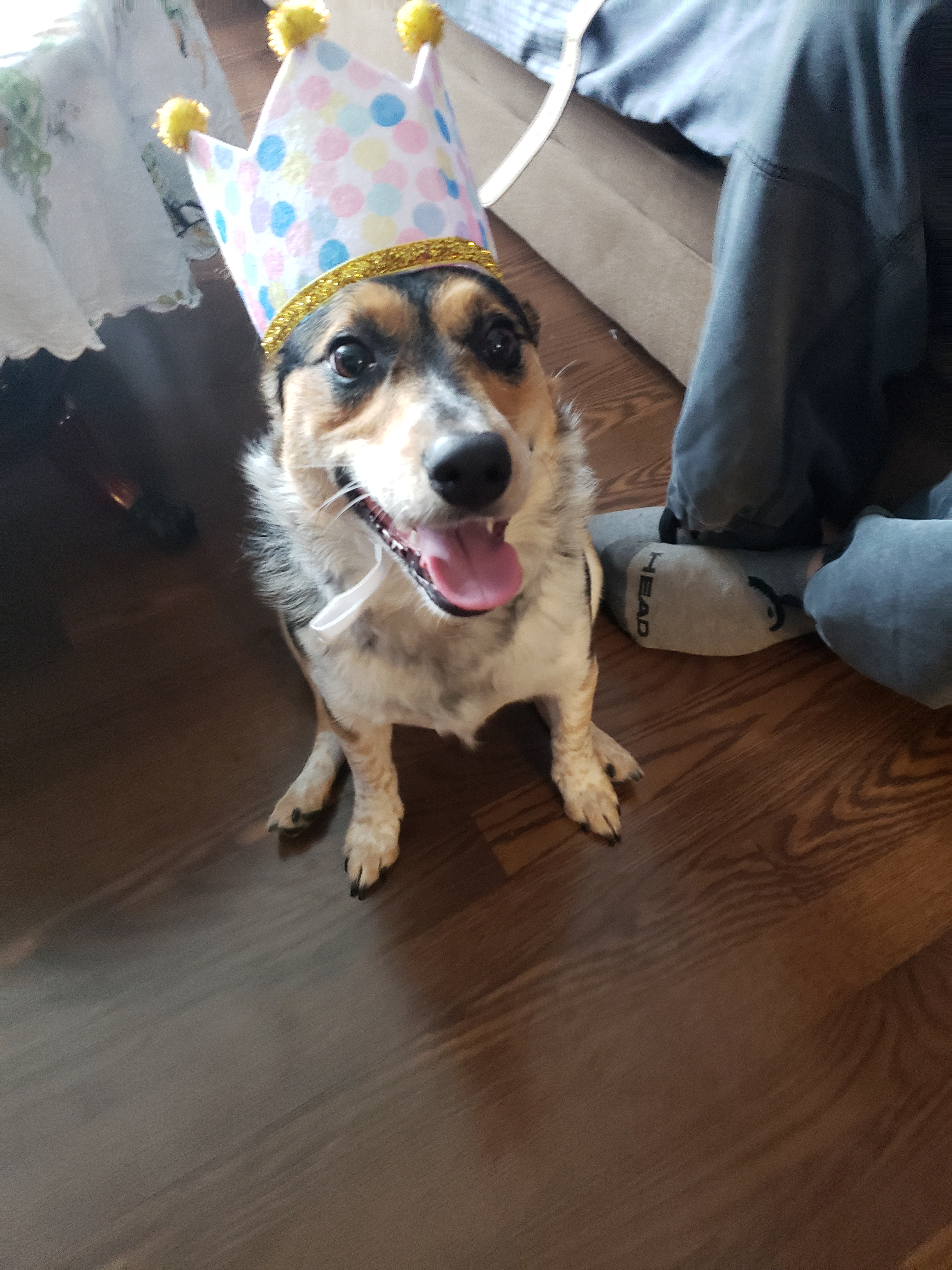 user avatar image for Kaiteacup