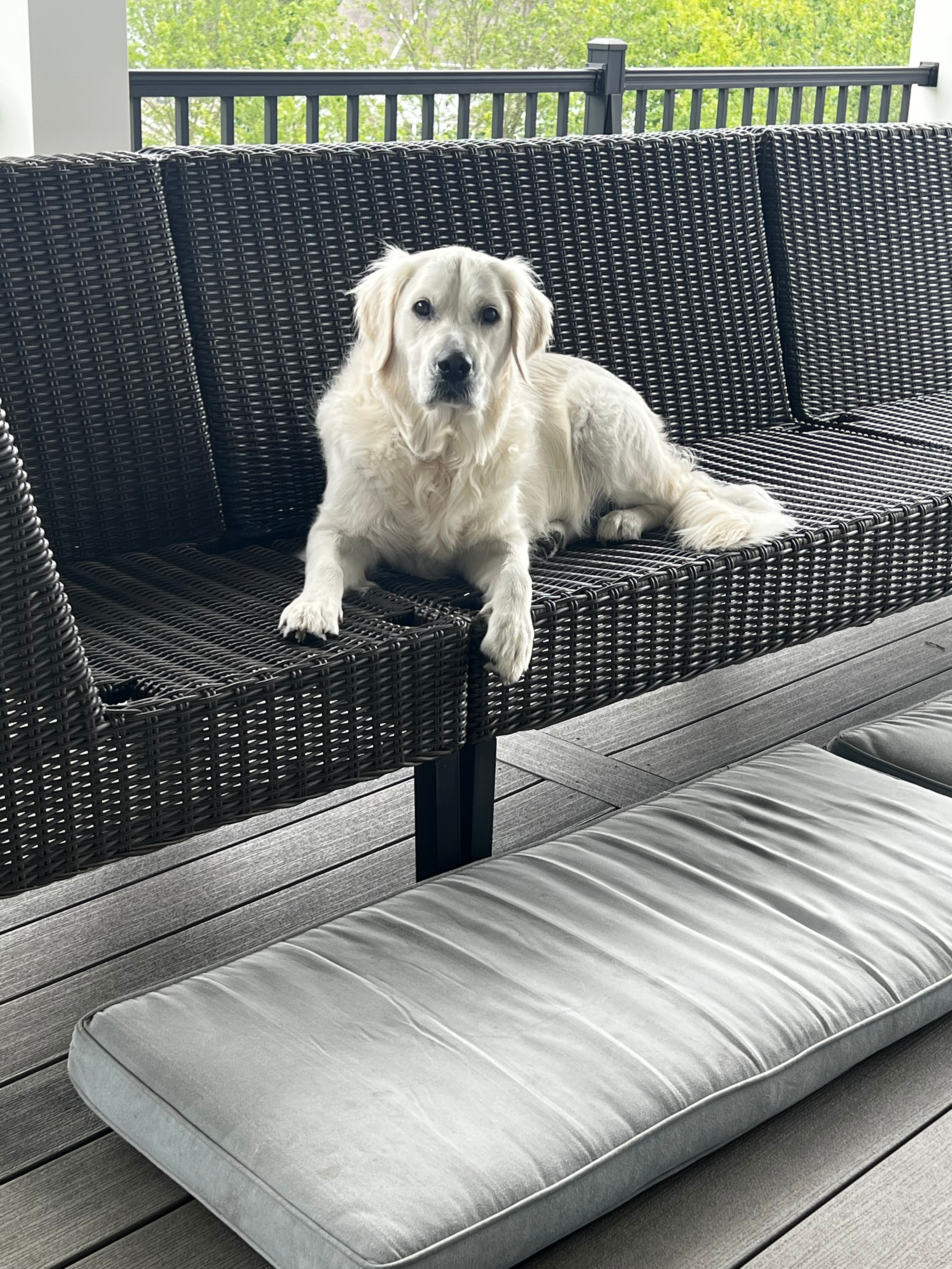 user avatar image for Dungeon Crawler Shoe