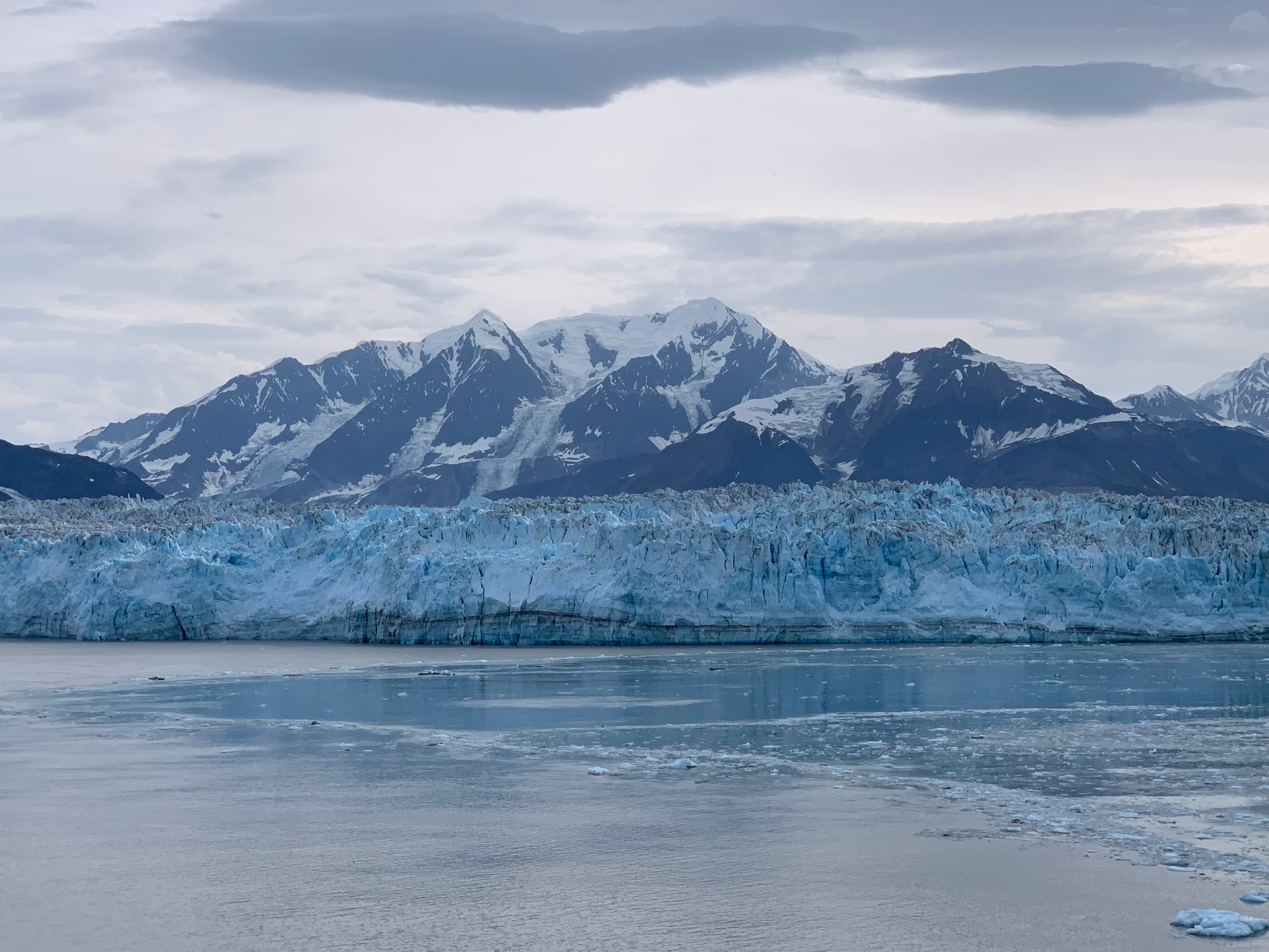 user avatar image for Steve Nedder