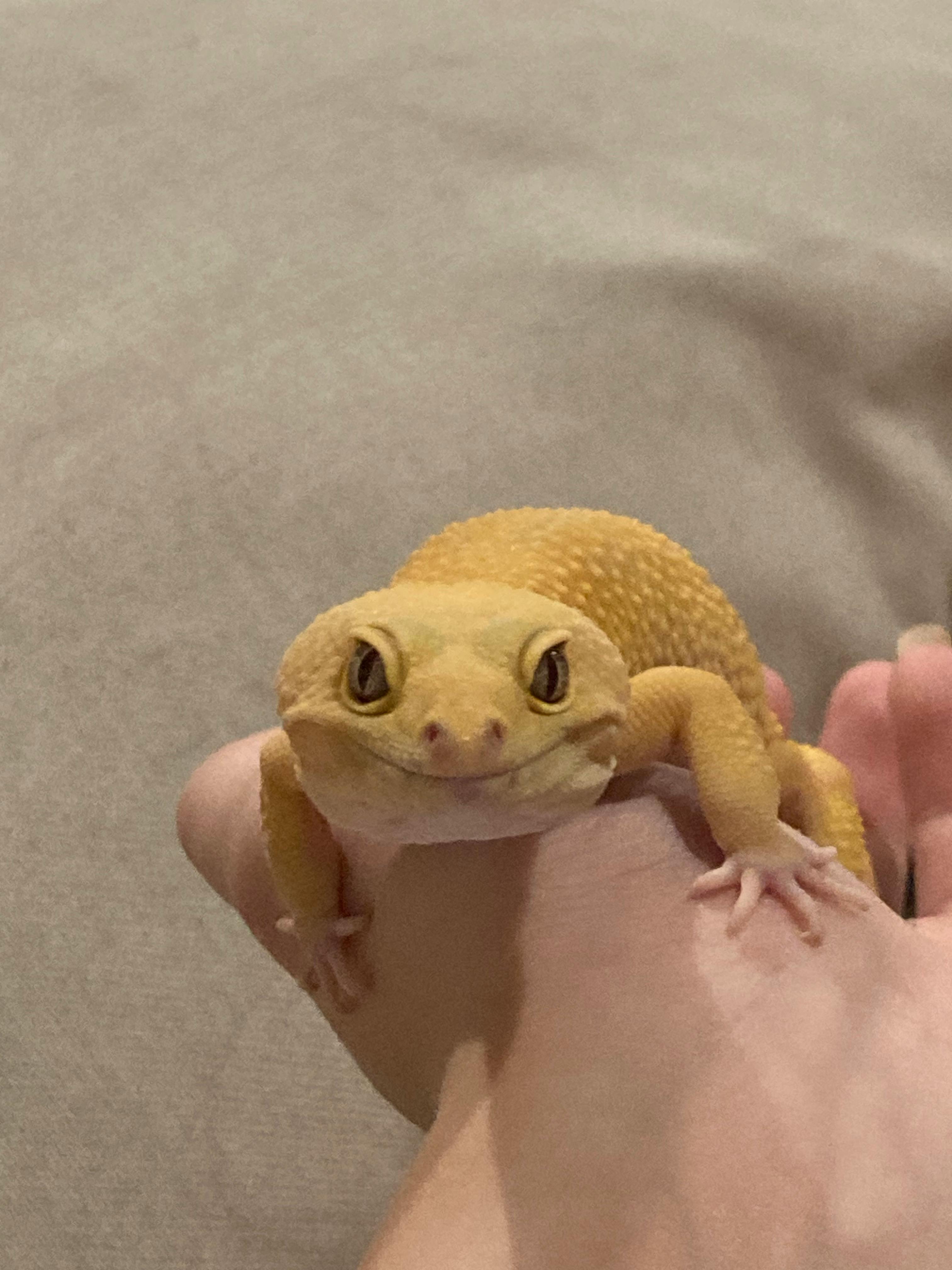 user avatar image for Ainsley Horan