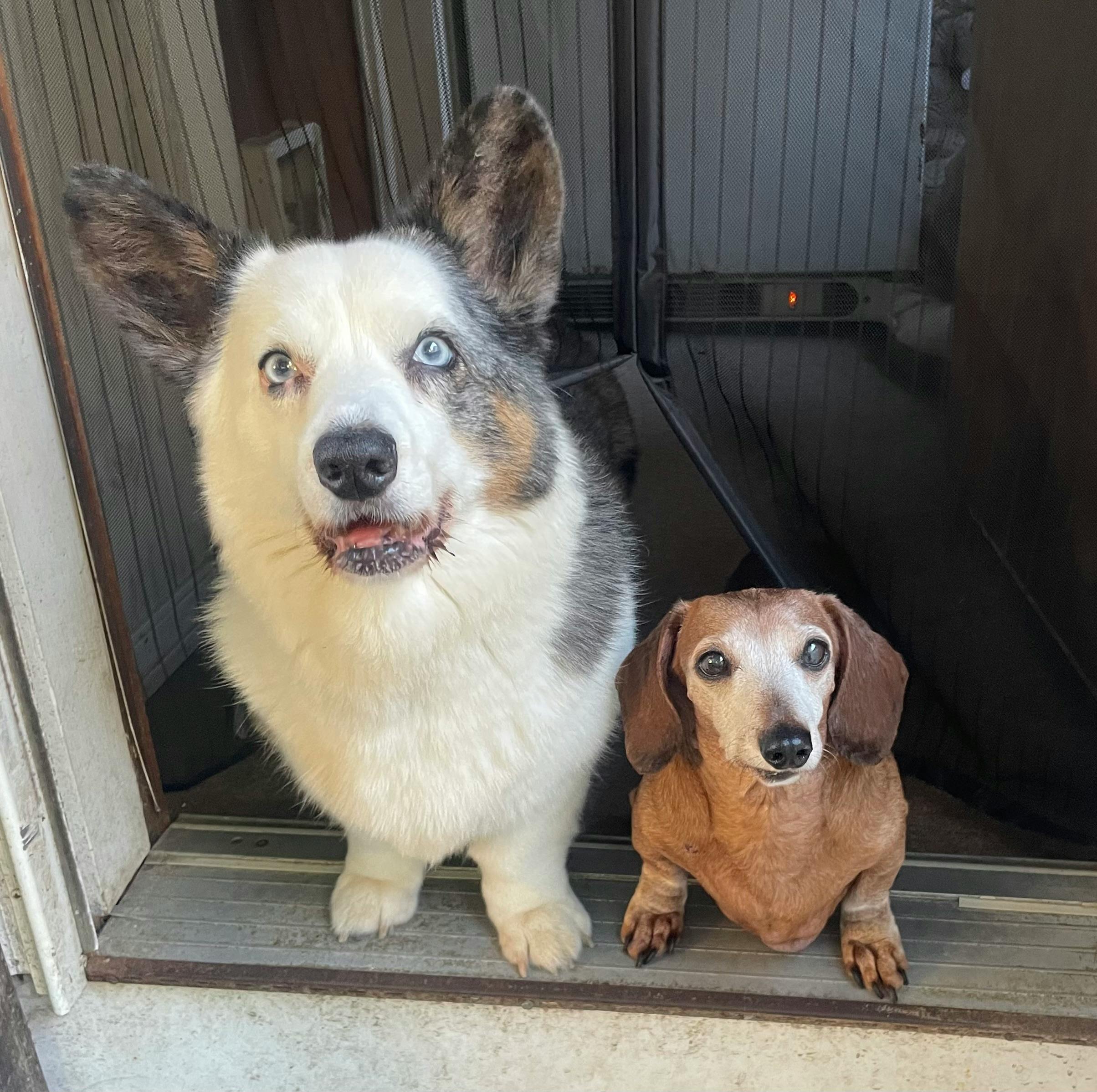 user avatar image for Jen Graham