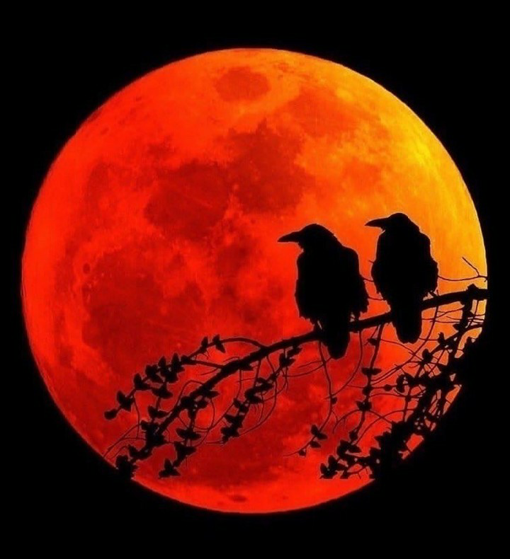 user avatar image for CheezeWhizz