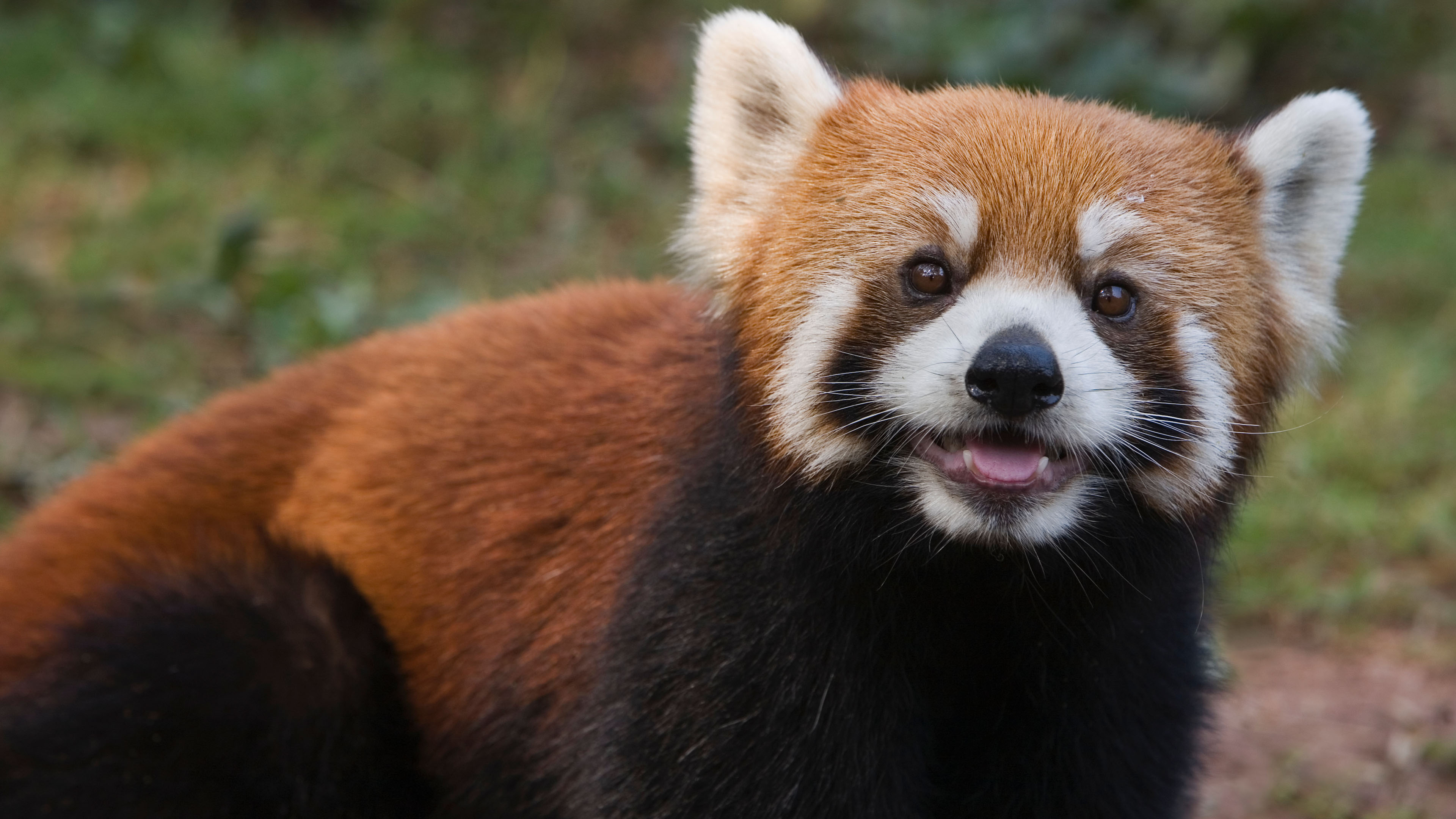 user avatar image for Cuar