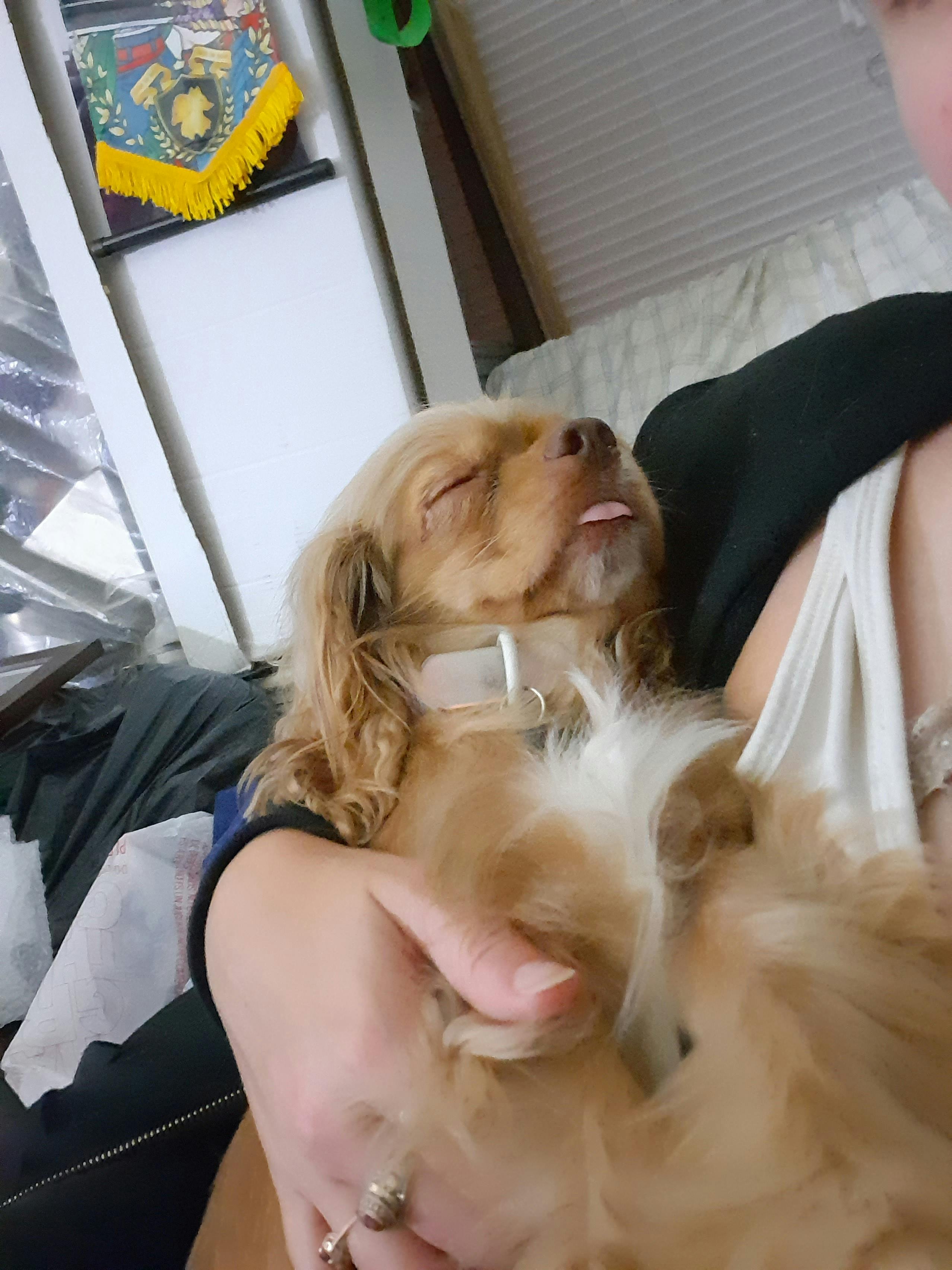 user avatar image for Noonetells 