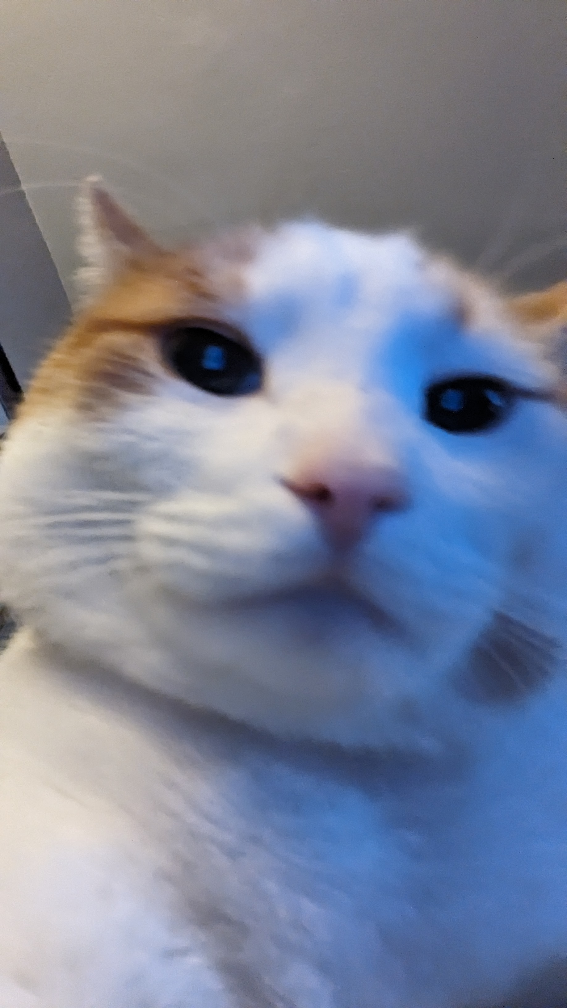 user avatar image for Staticneb