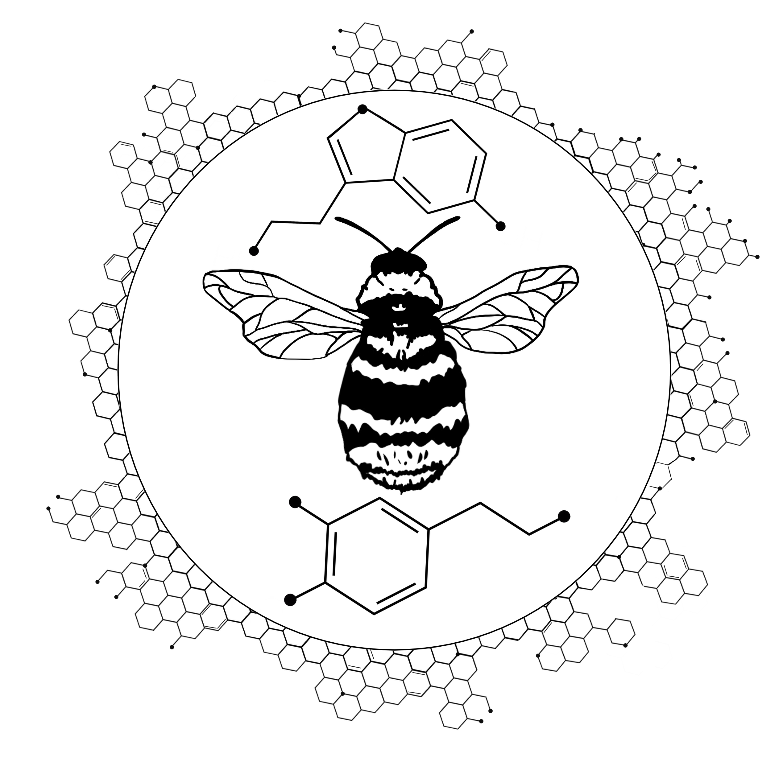 user avatar image for Florian