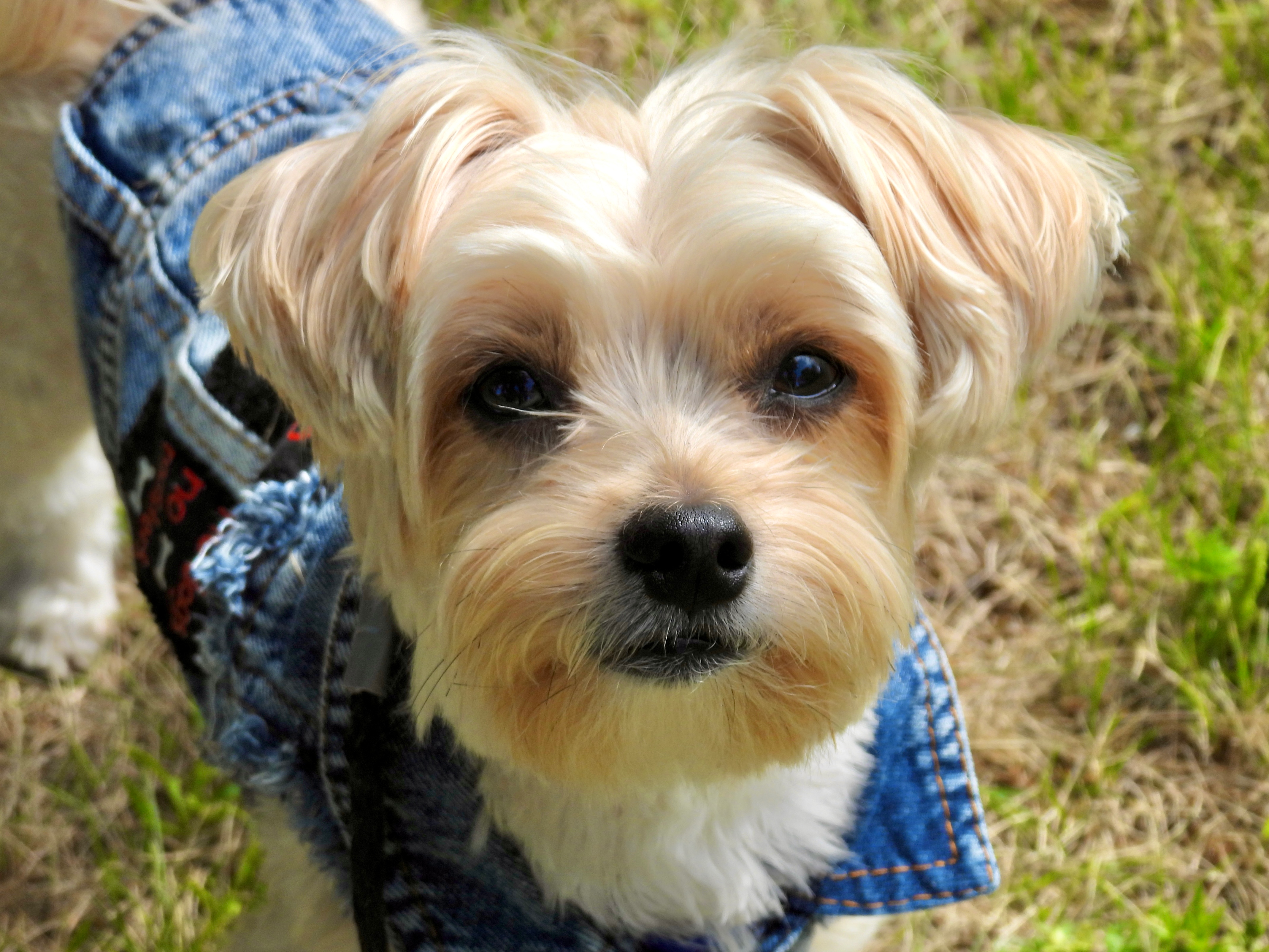 user avatar image for Hadriel