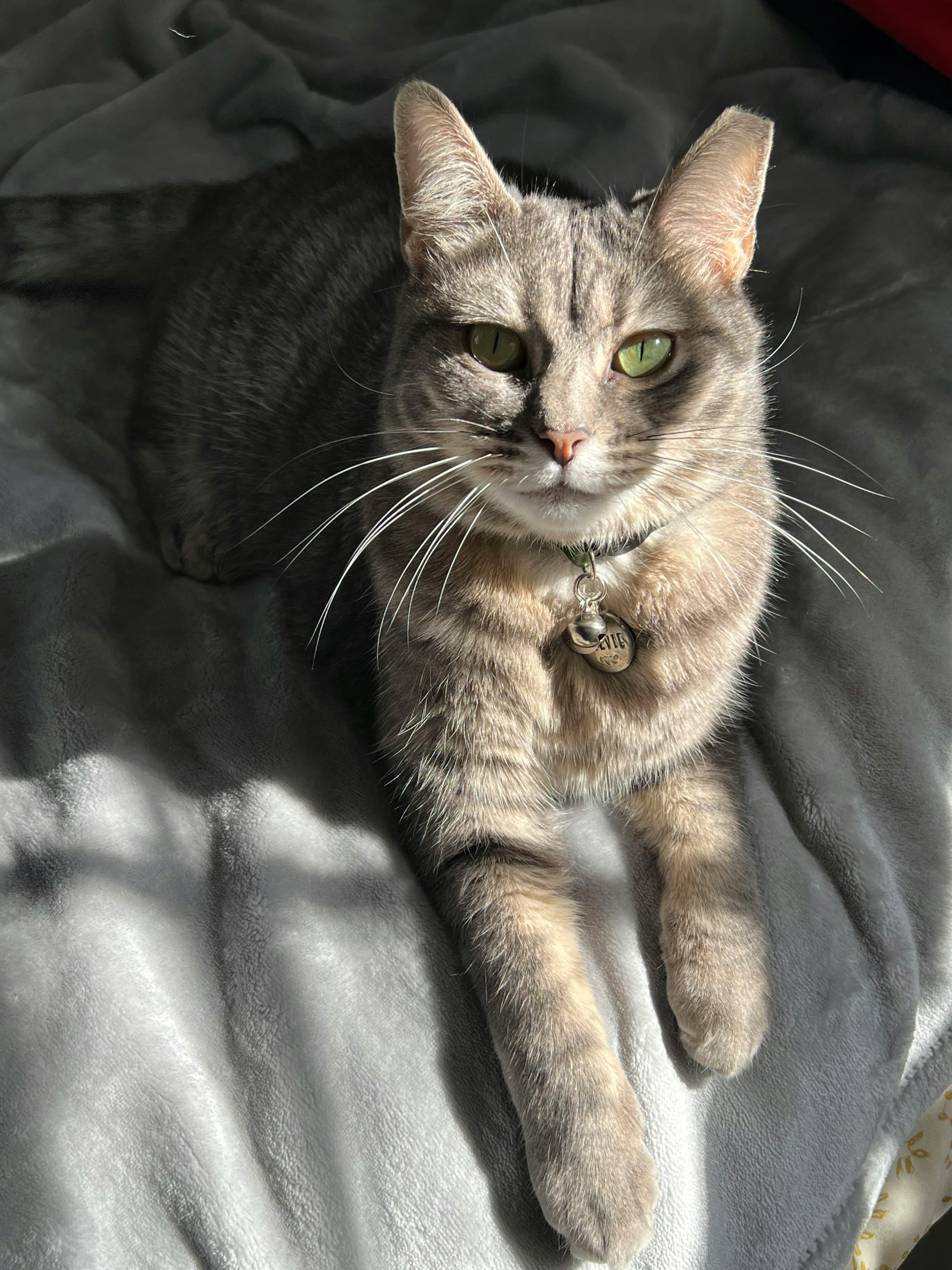 user avatar image for Emma