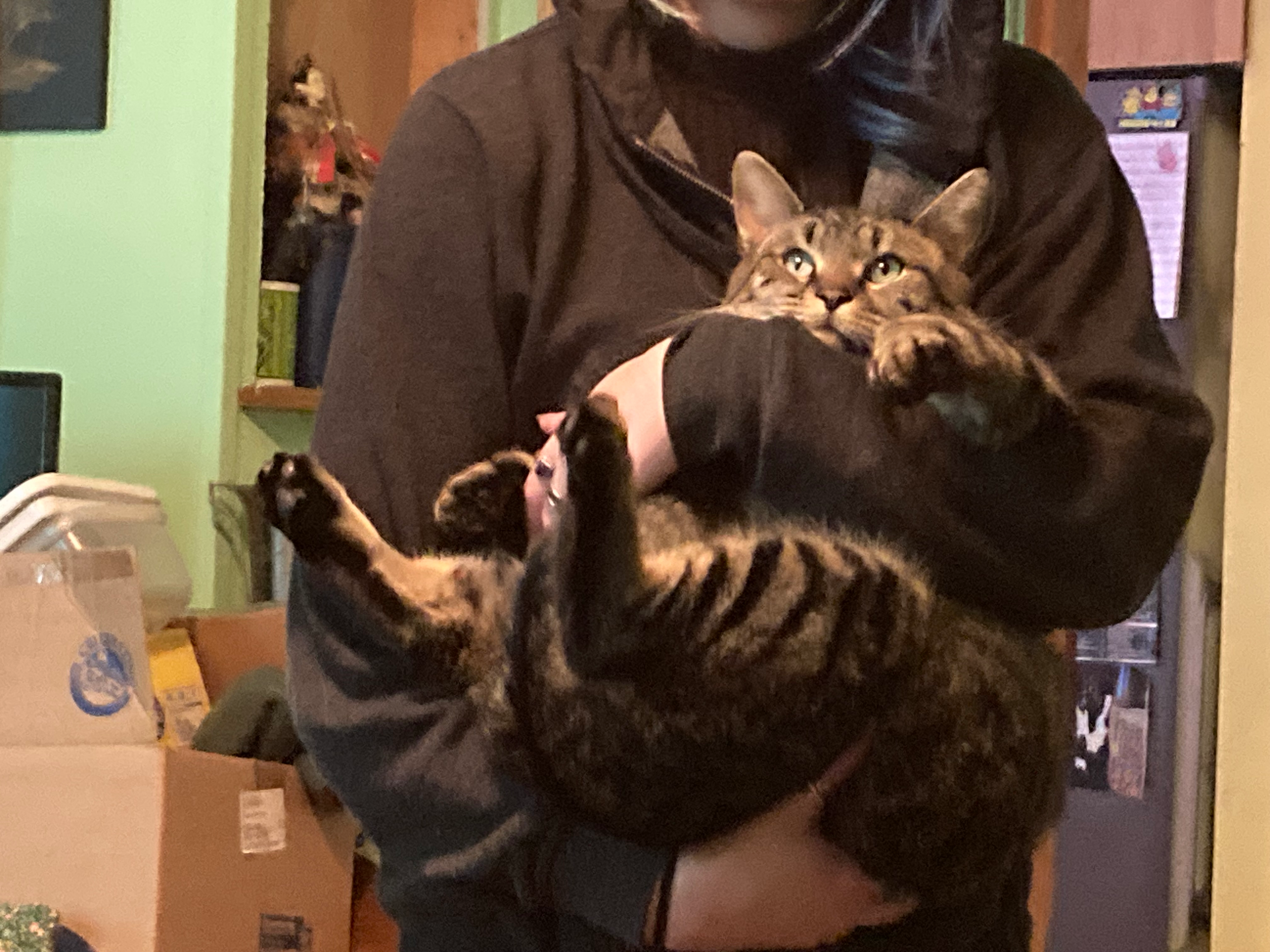 user avatar image for Rachel