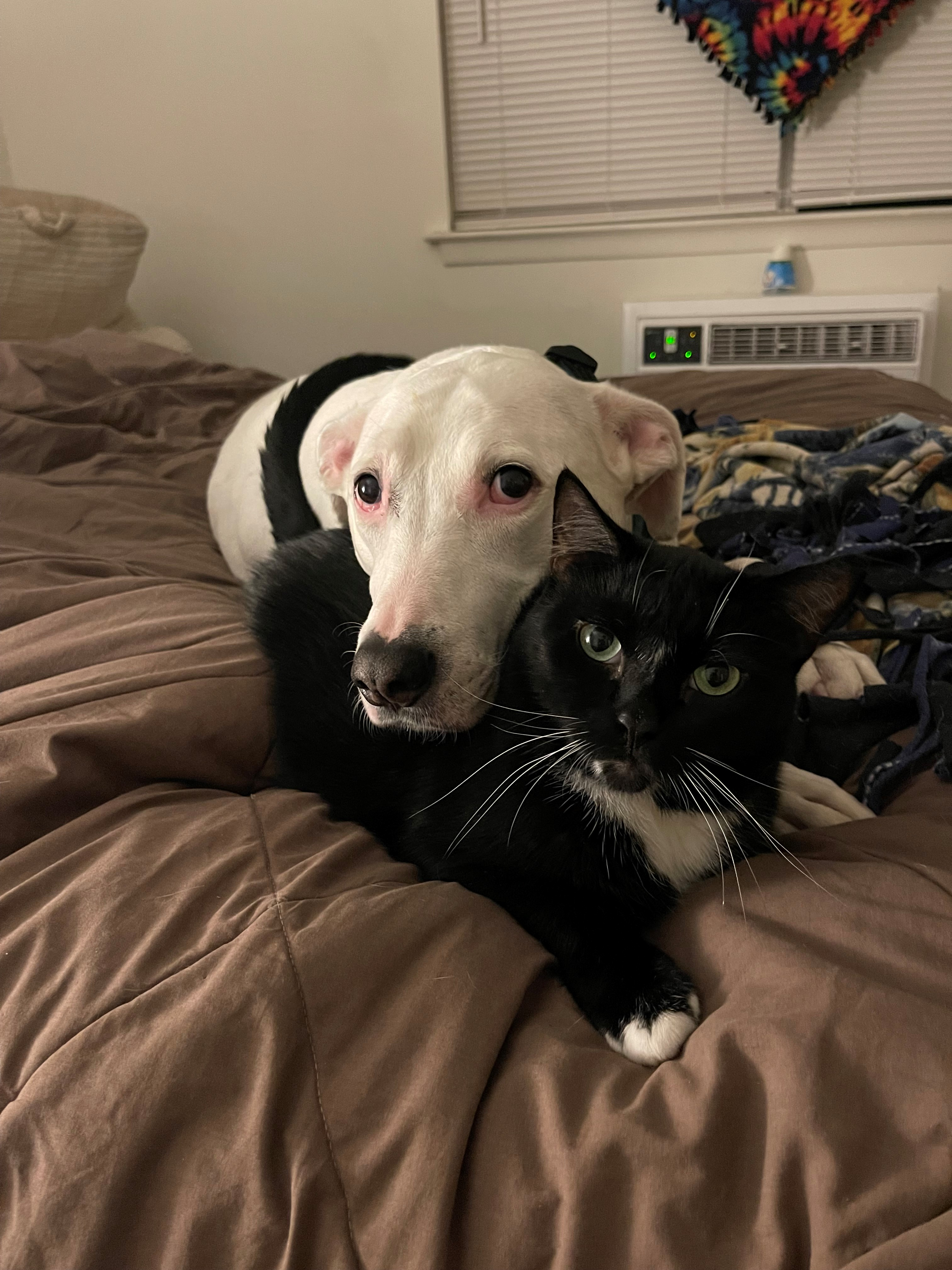 user avatar image for Lauren Hawley