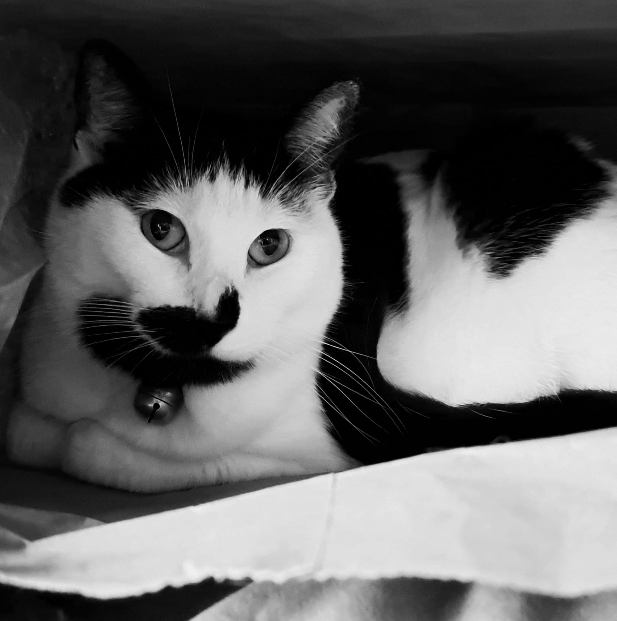 user avatar image for Vanessa Avalos