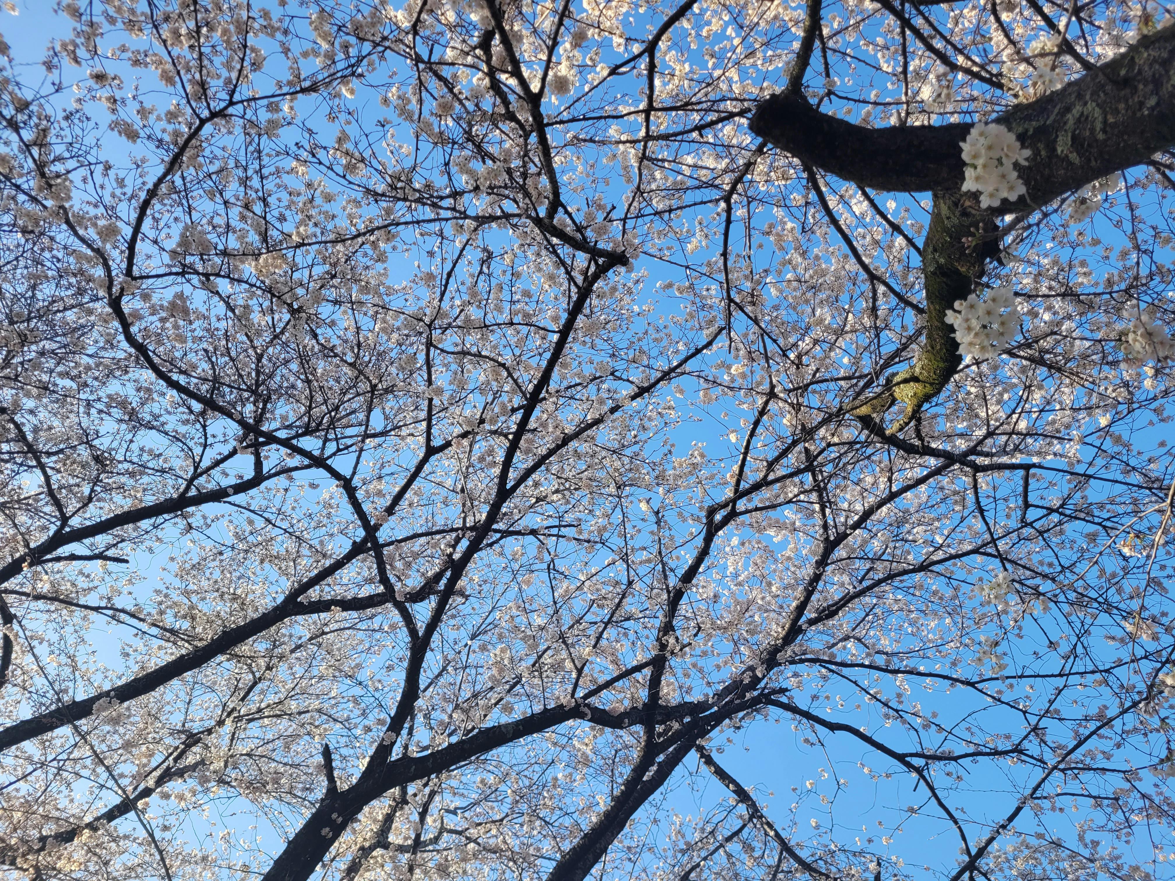 user avatar image for C.R. Langley