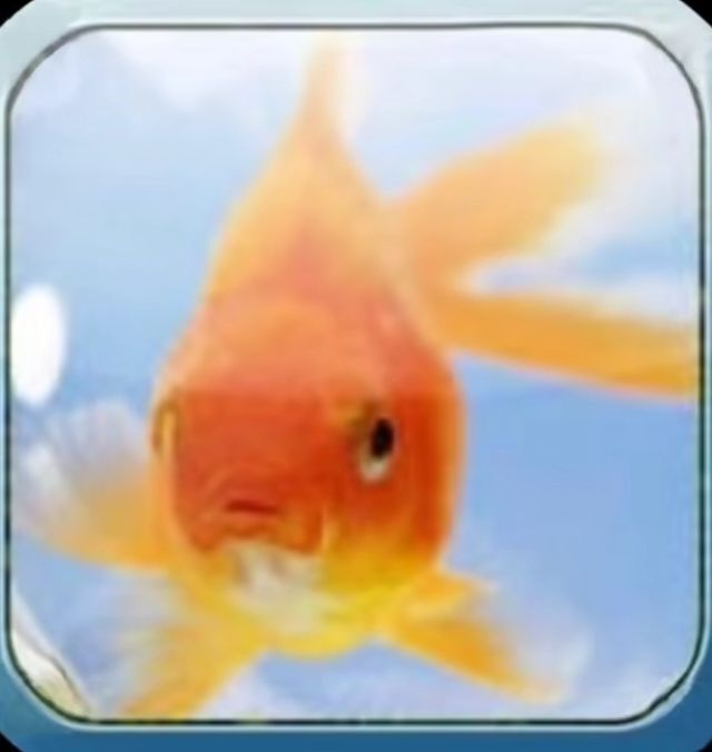 user avatar image for fruutiger_aero