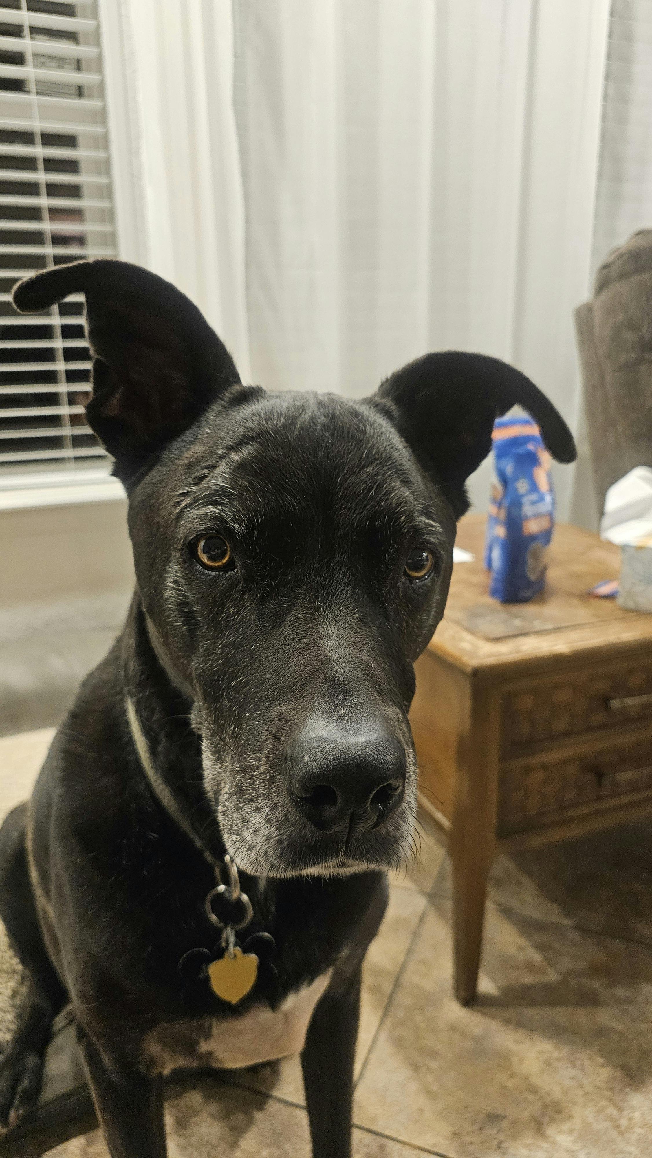 user avatar image for Robert Downey