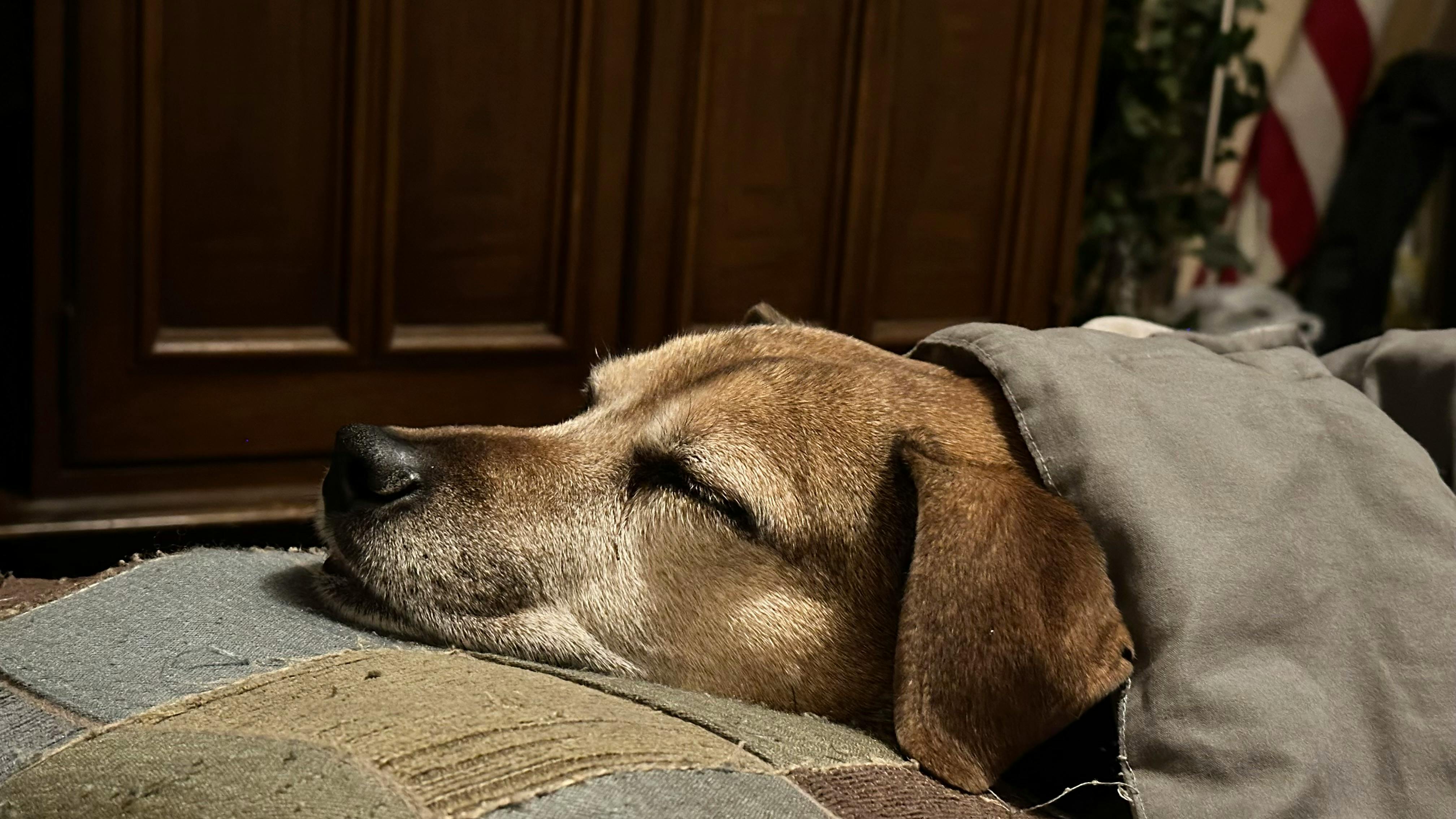 user avatar image for Scott Shields