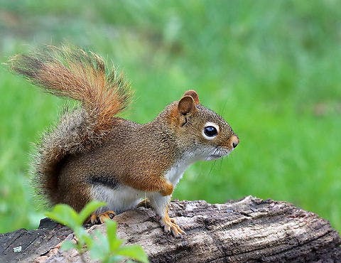 user avatar image for Brandee