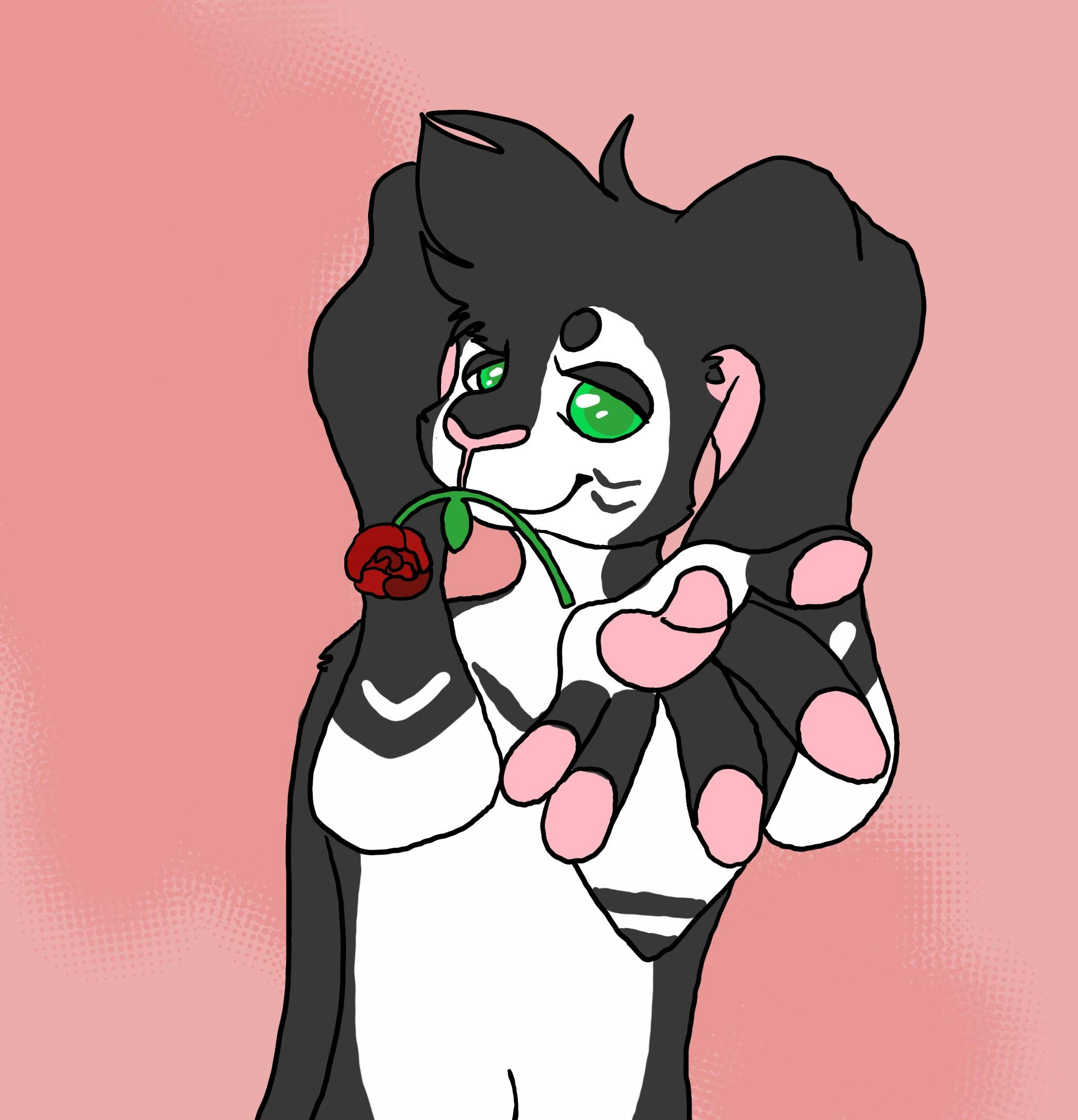 user avatar image for Leafie Greenie