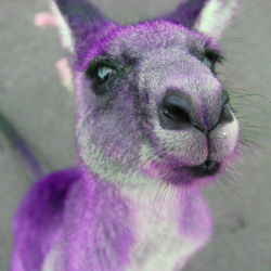 user avatar image for Jake Samuels