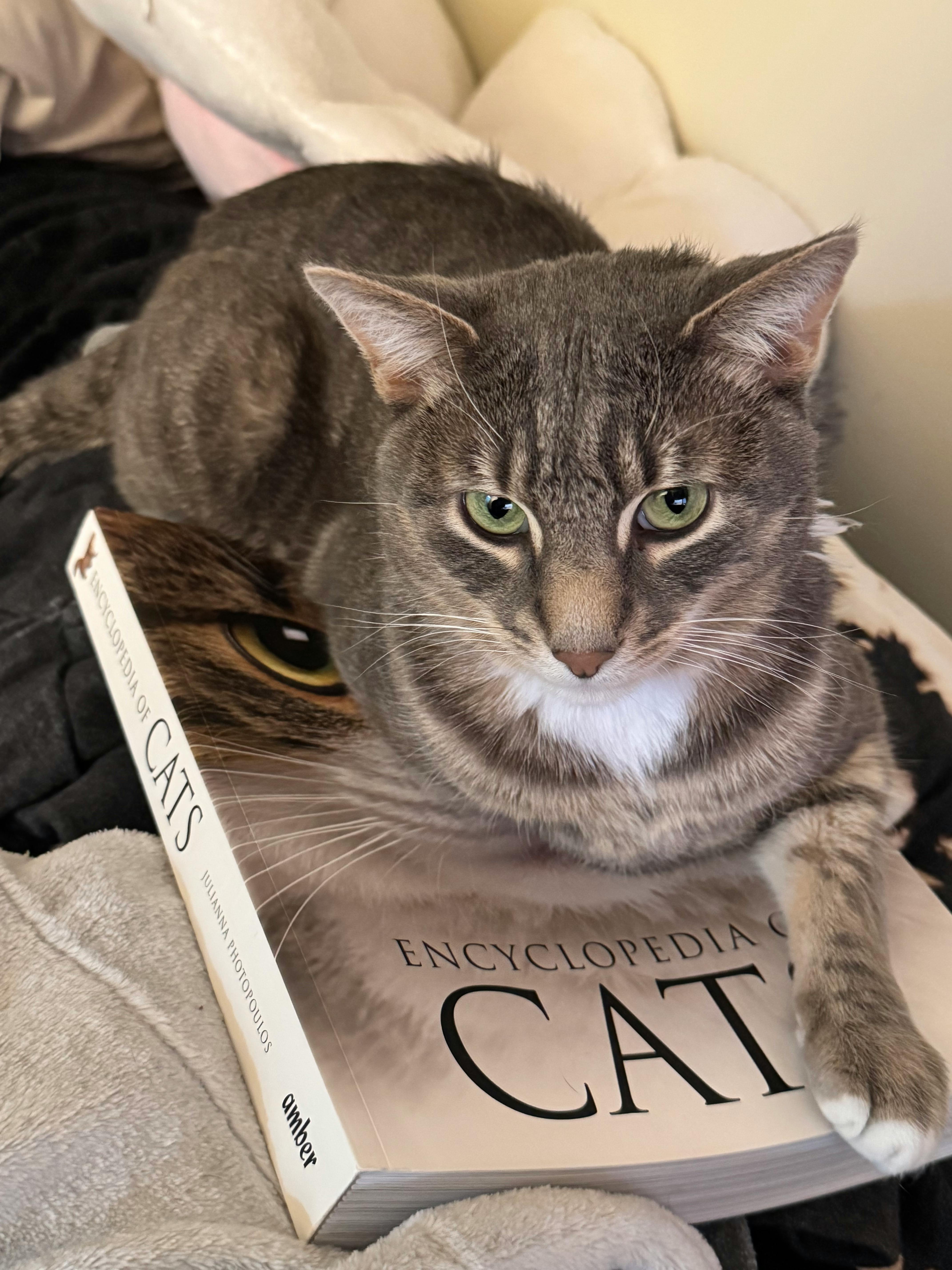 user avatar image for Stina 