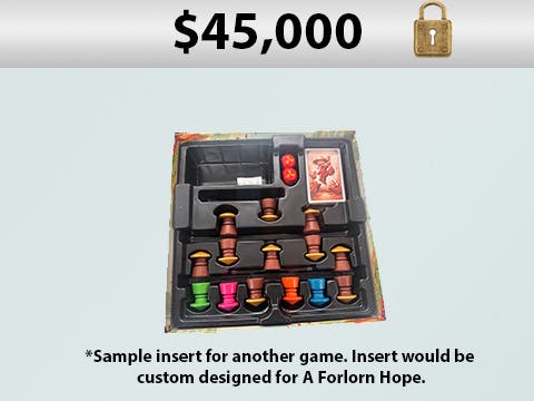 Custom Molded Plastic Insert