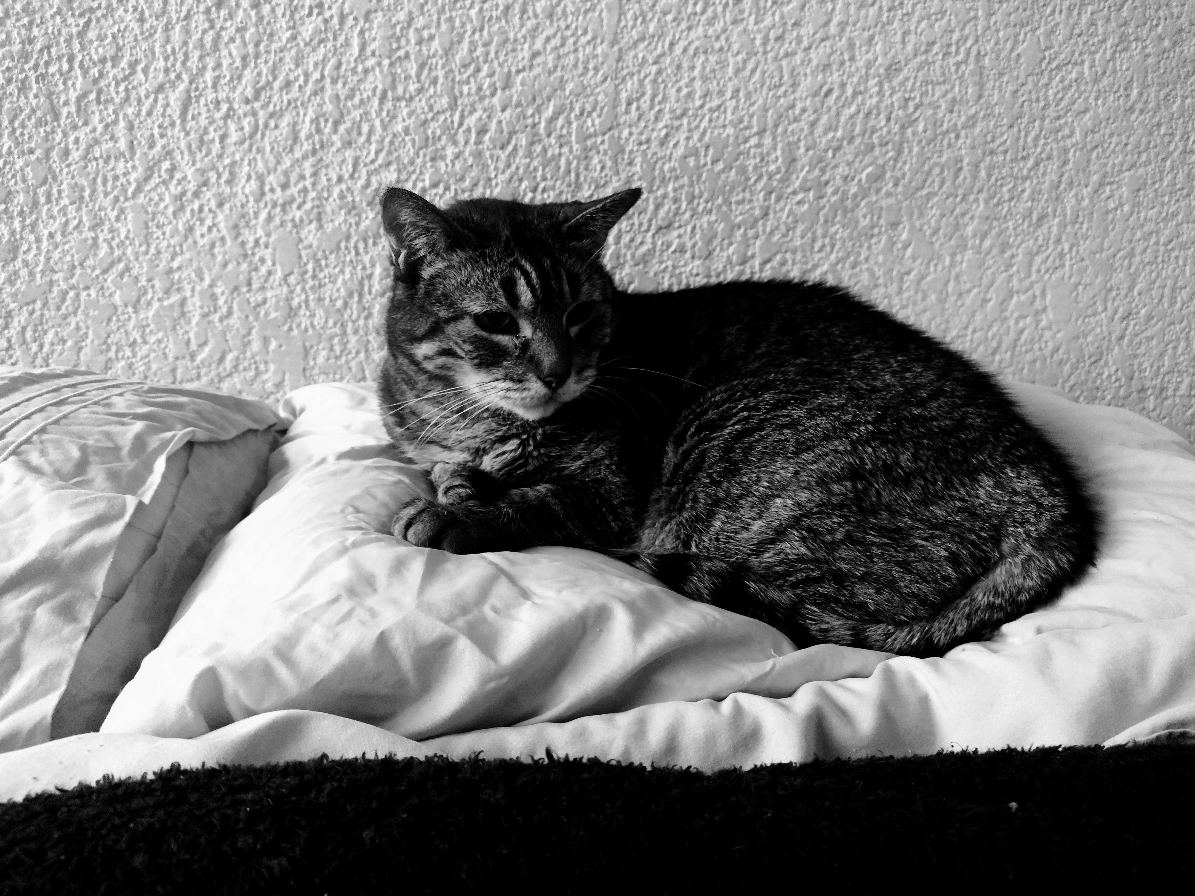 user avatar image for Uncle Brains