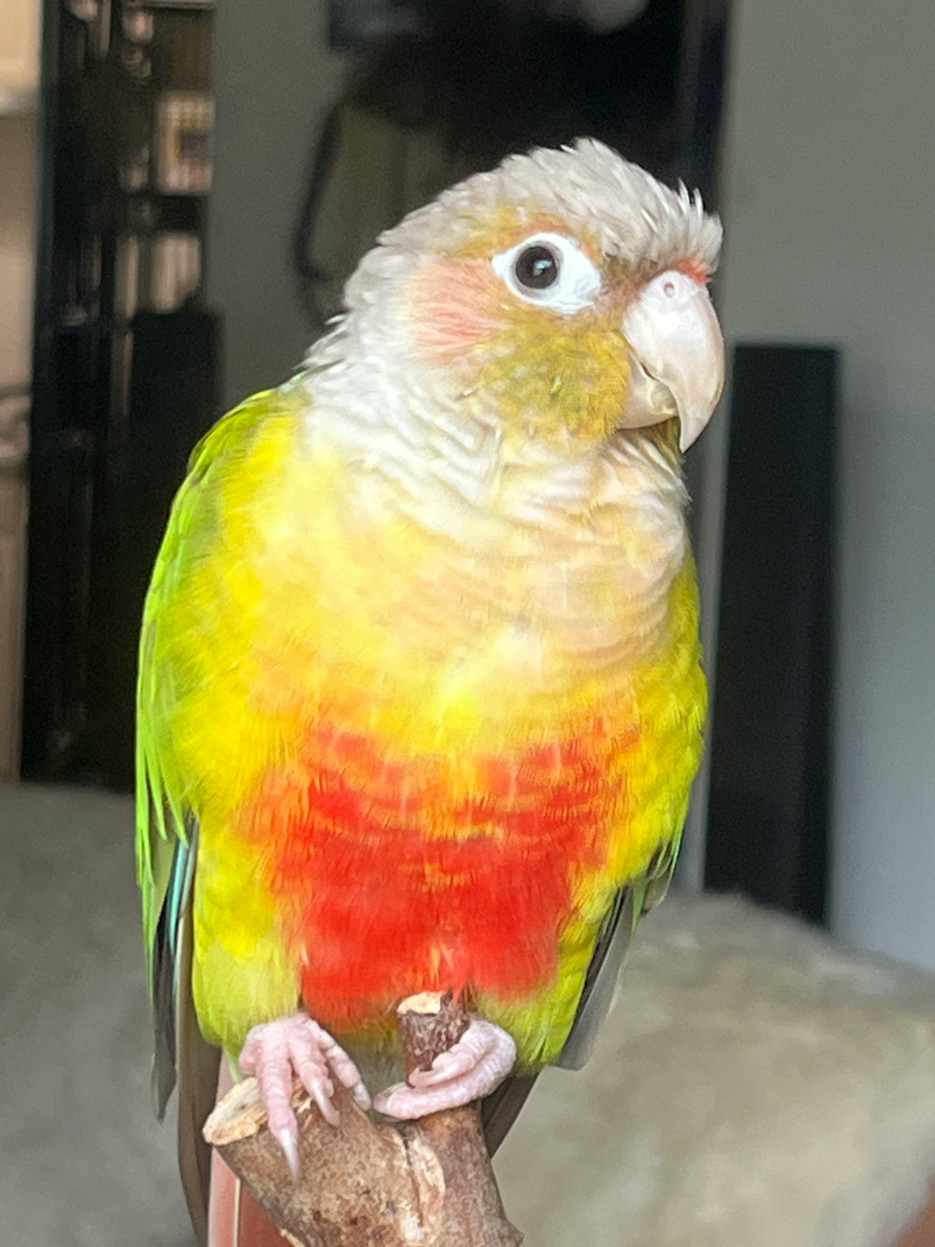 user avatar image for Kanie