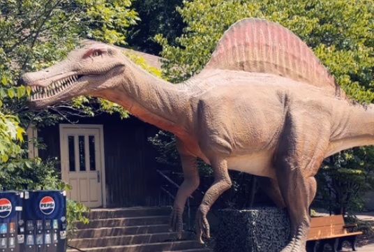 user avatar image for SpI-Know-Dino