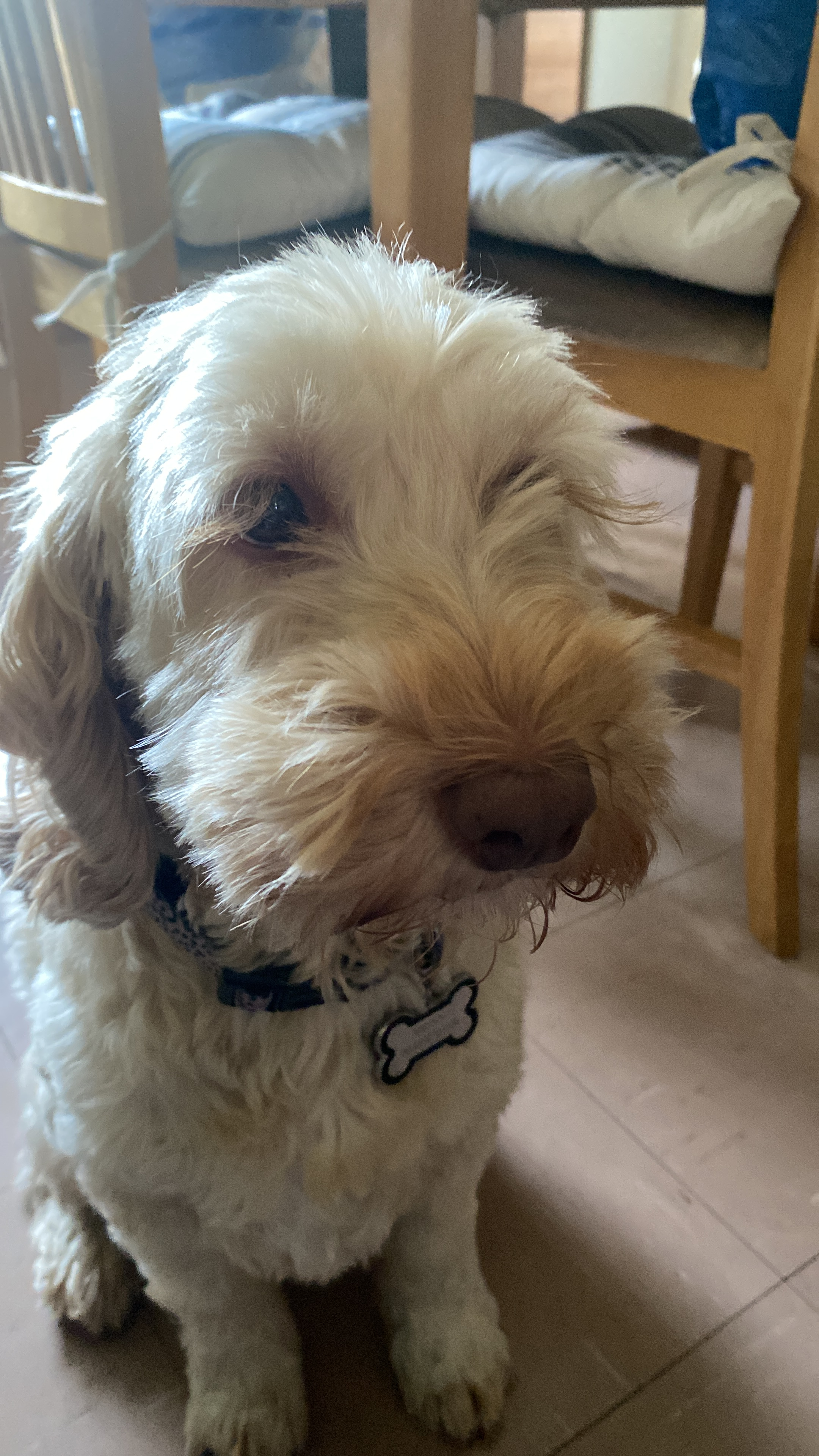 user avatar image for Hunter Glynn