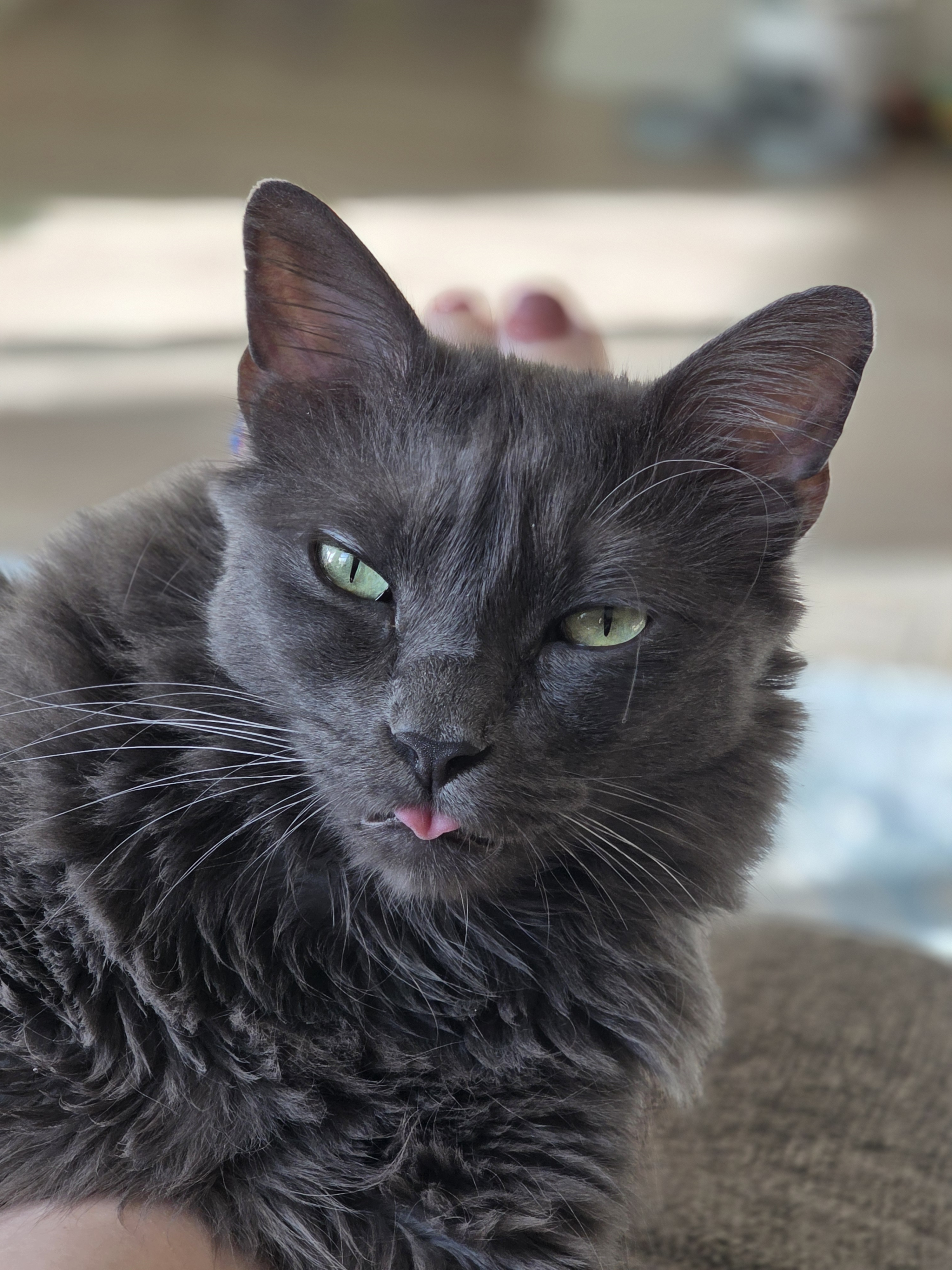 user avatar image for Alison M