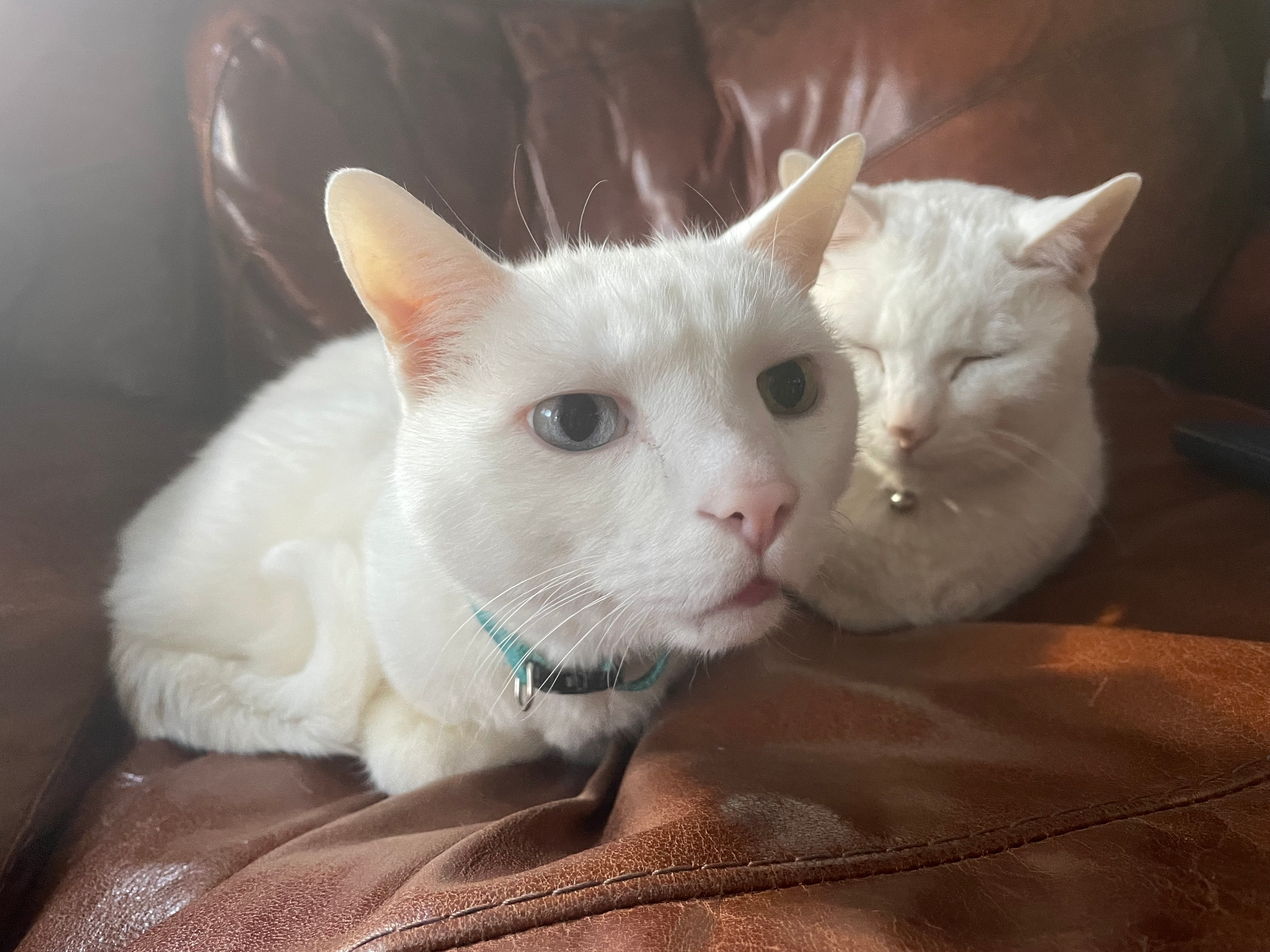 user avatar image for Levi