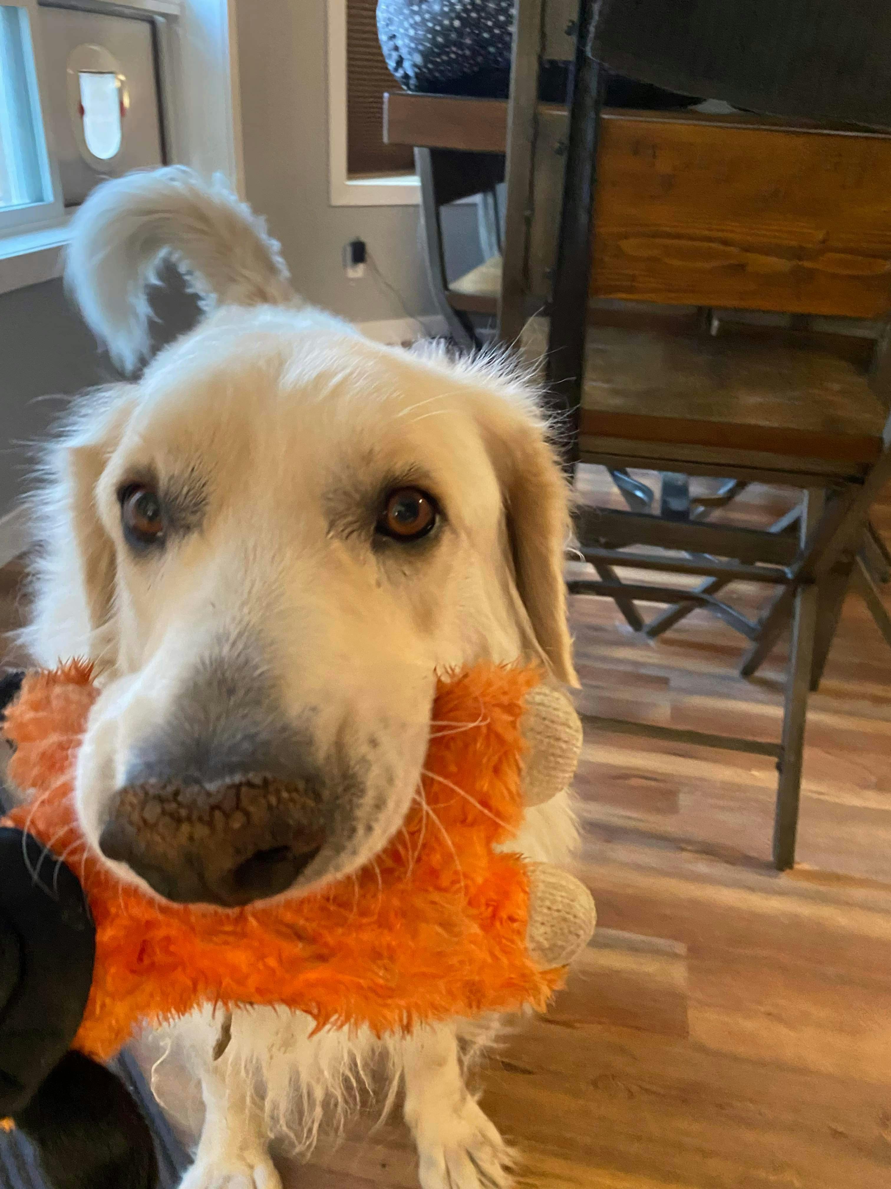 user avatar image for Stacey 