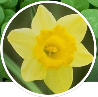 user avatar image for Brenda Dunham