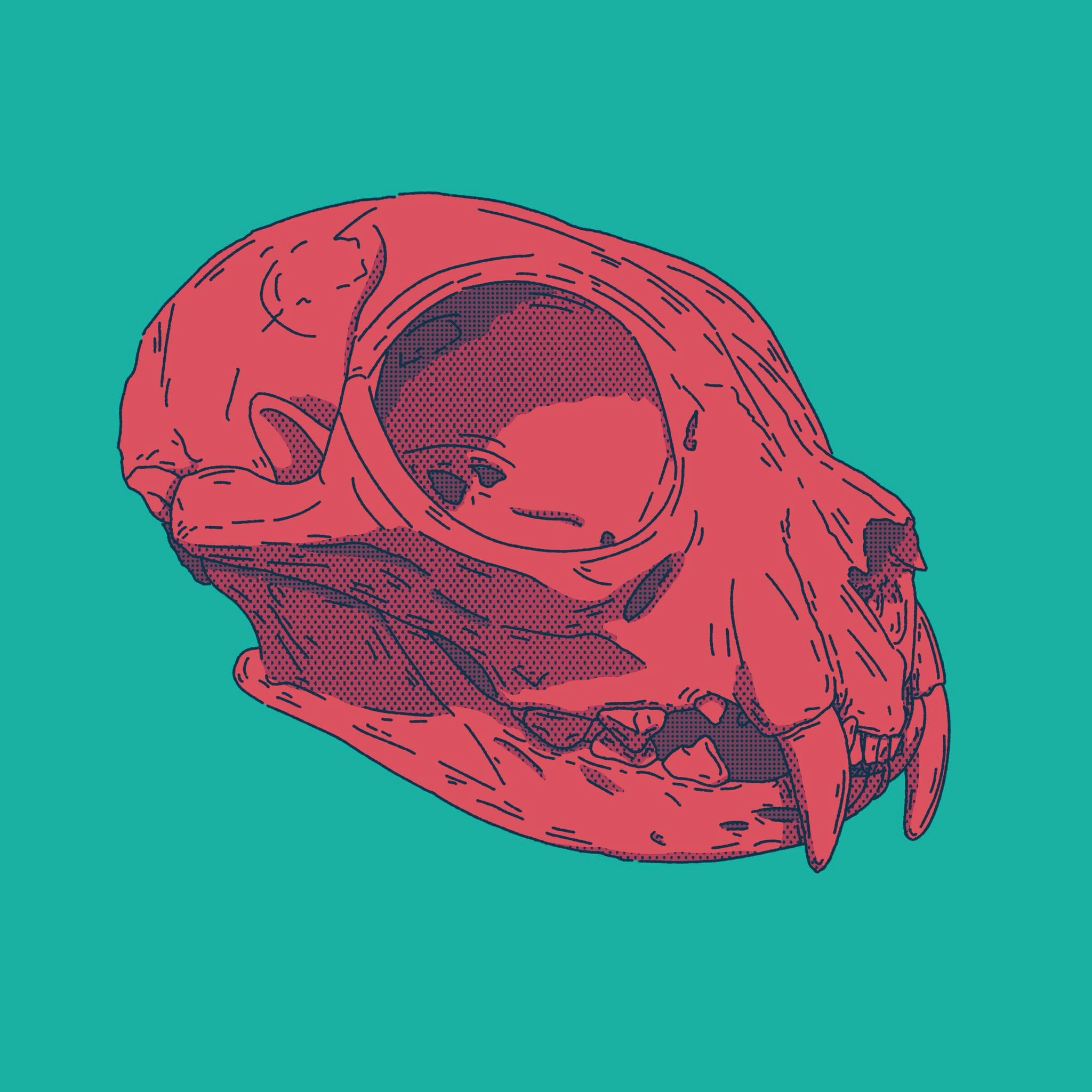 user avatar image for Haven Milne