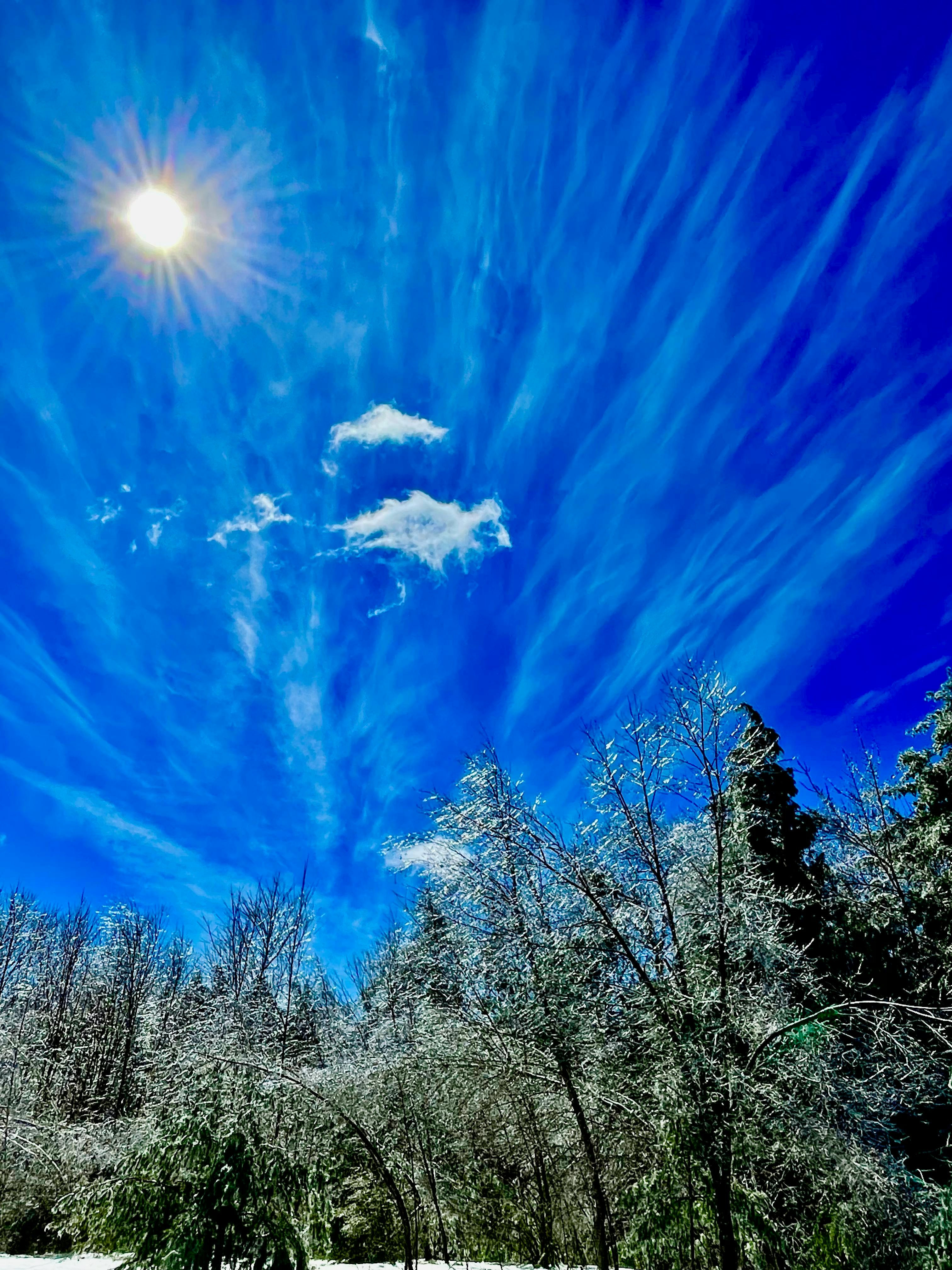 user avatar image for Jim Tyler-Wall