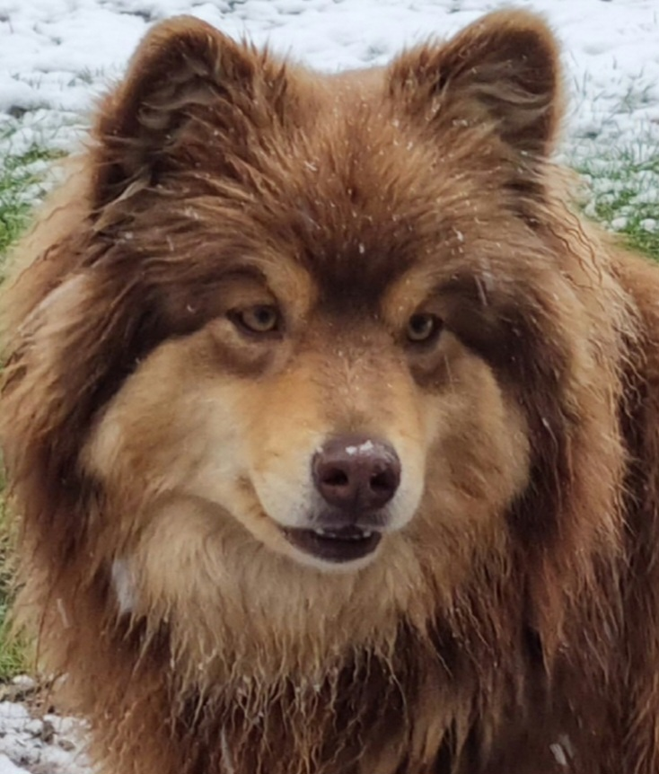 user avatar image for Iana