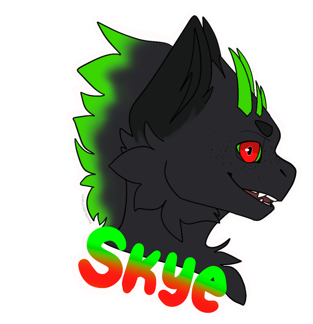 user avatar image for SKYE
