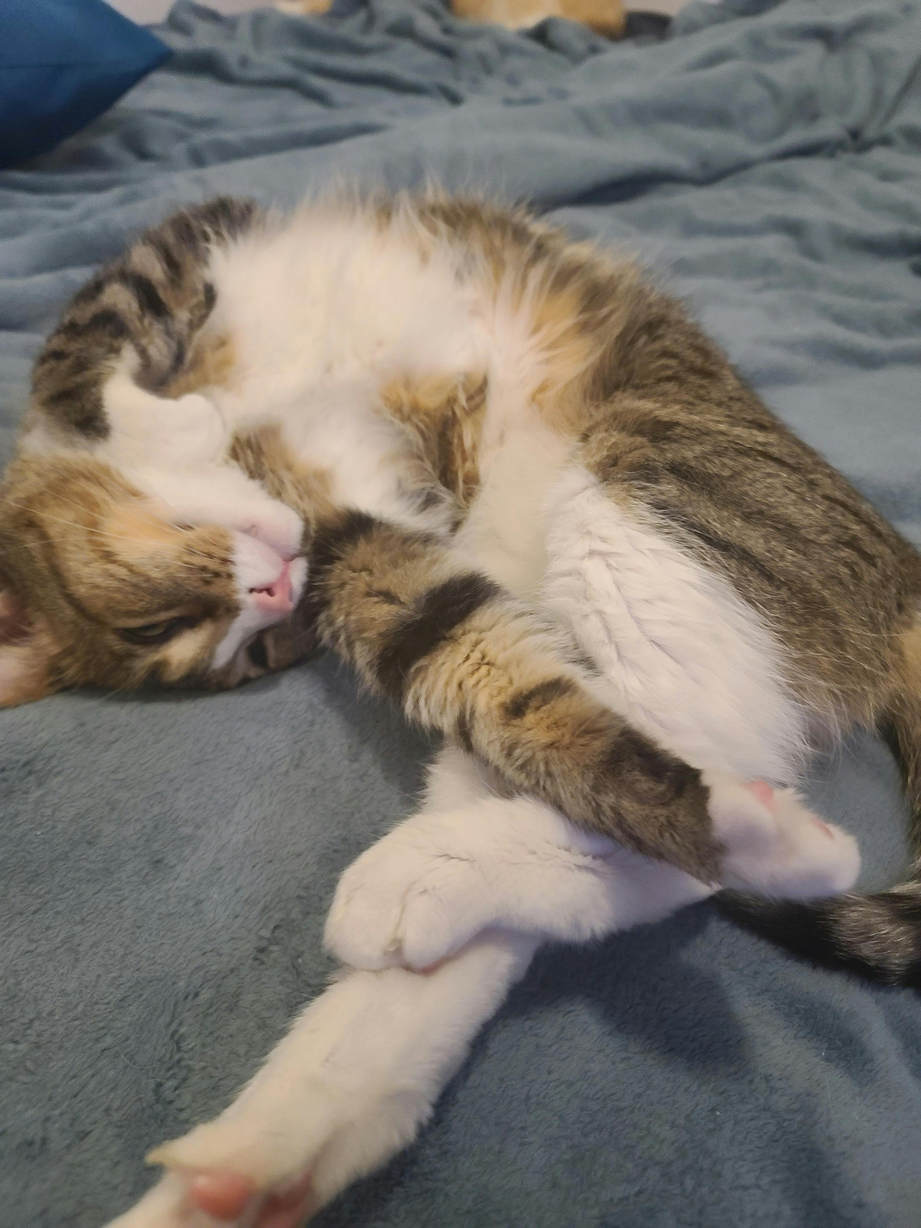 user avatar image for Matthias Kilpatrick