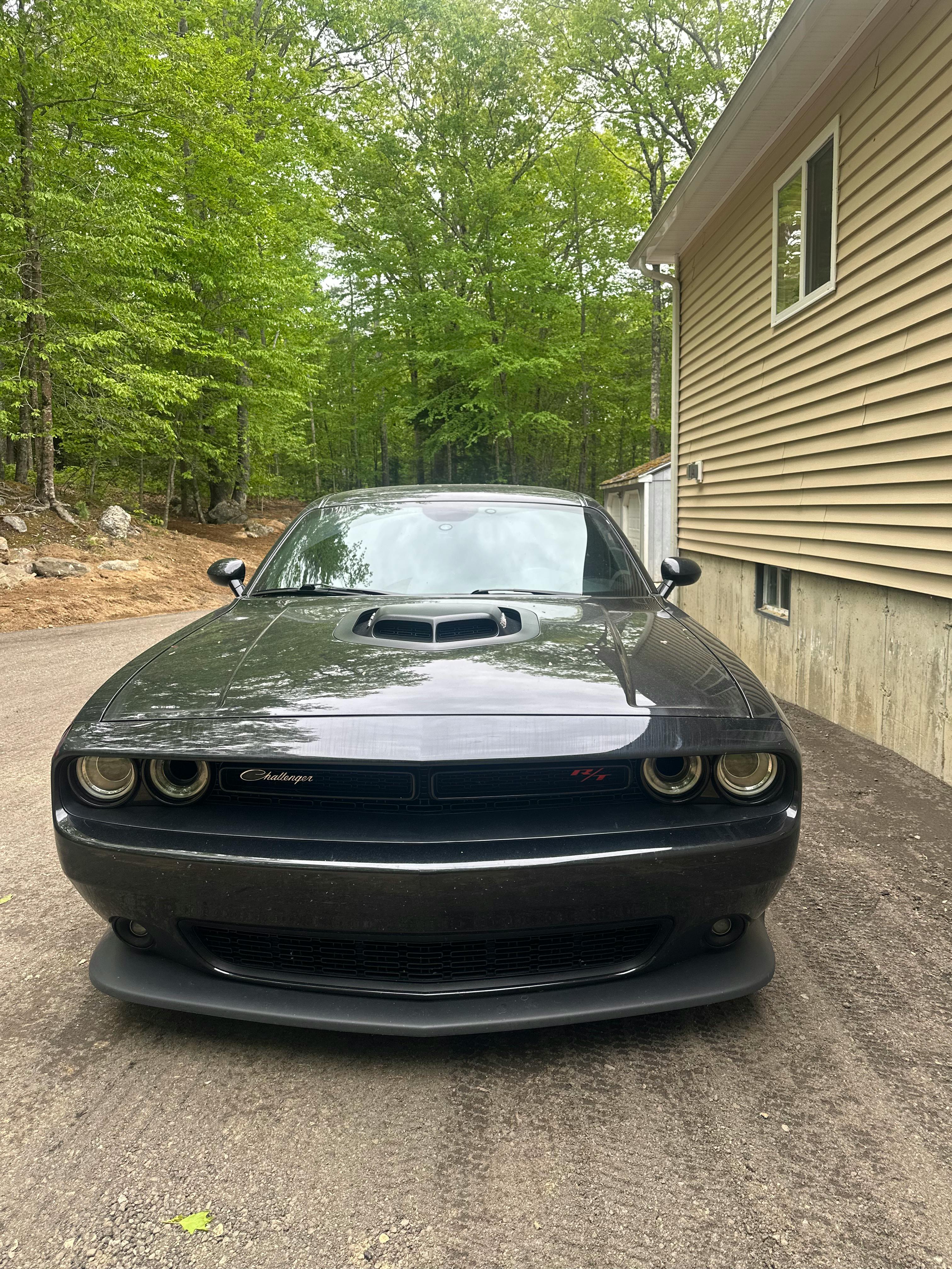 user avatar image for Nova Sequeira