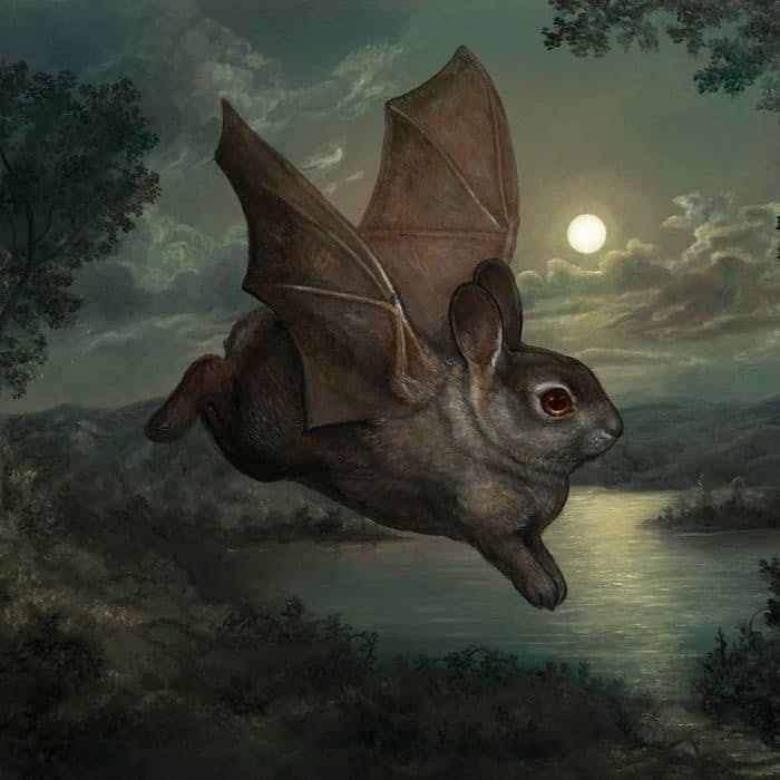 user avatar image for Melrakki