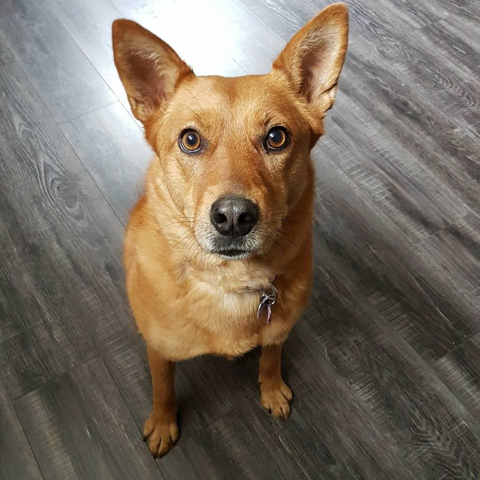 user avatar image for Marc D