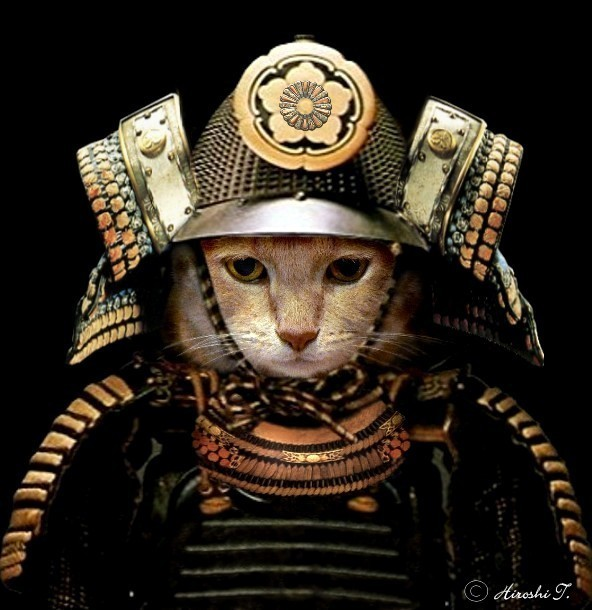 user avatar image for Stephen