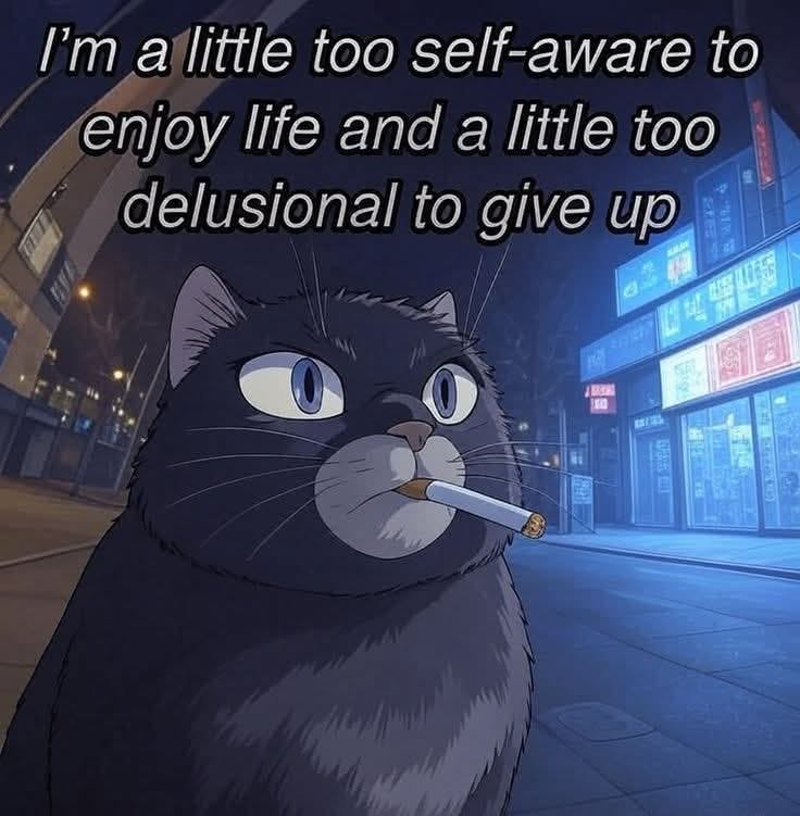 user avatar image for Nny Elmore 