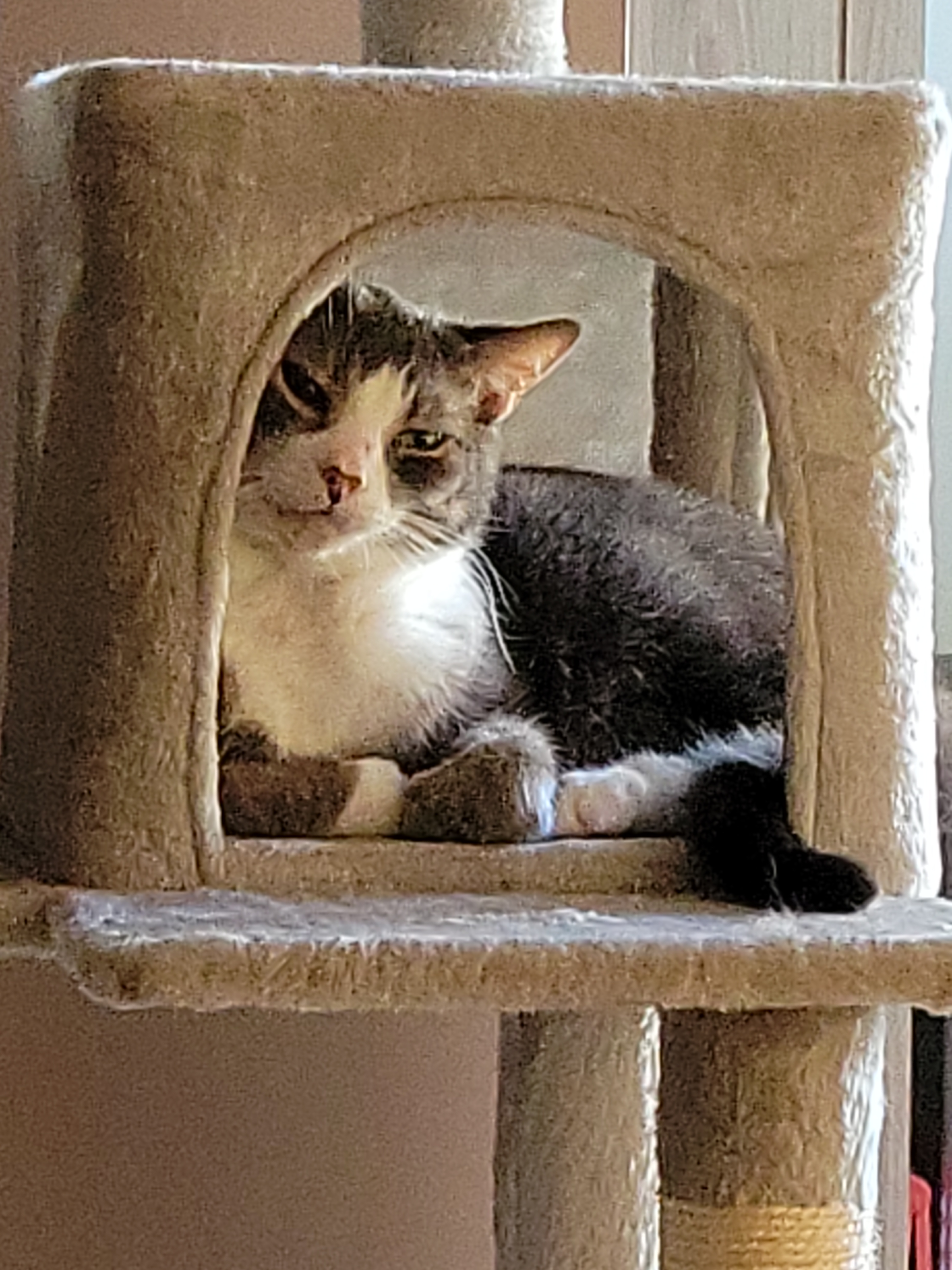 user avatar image for Lisa