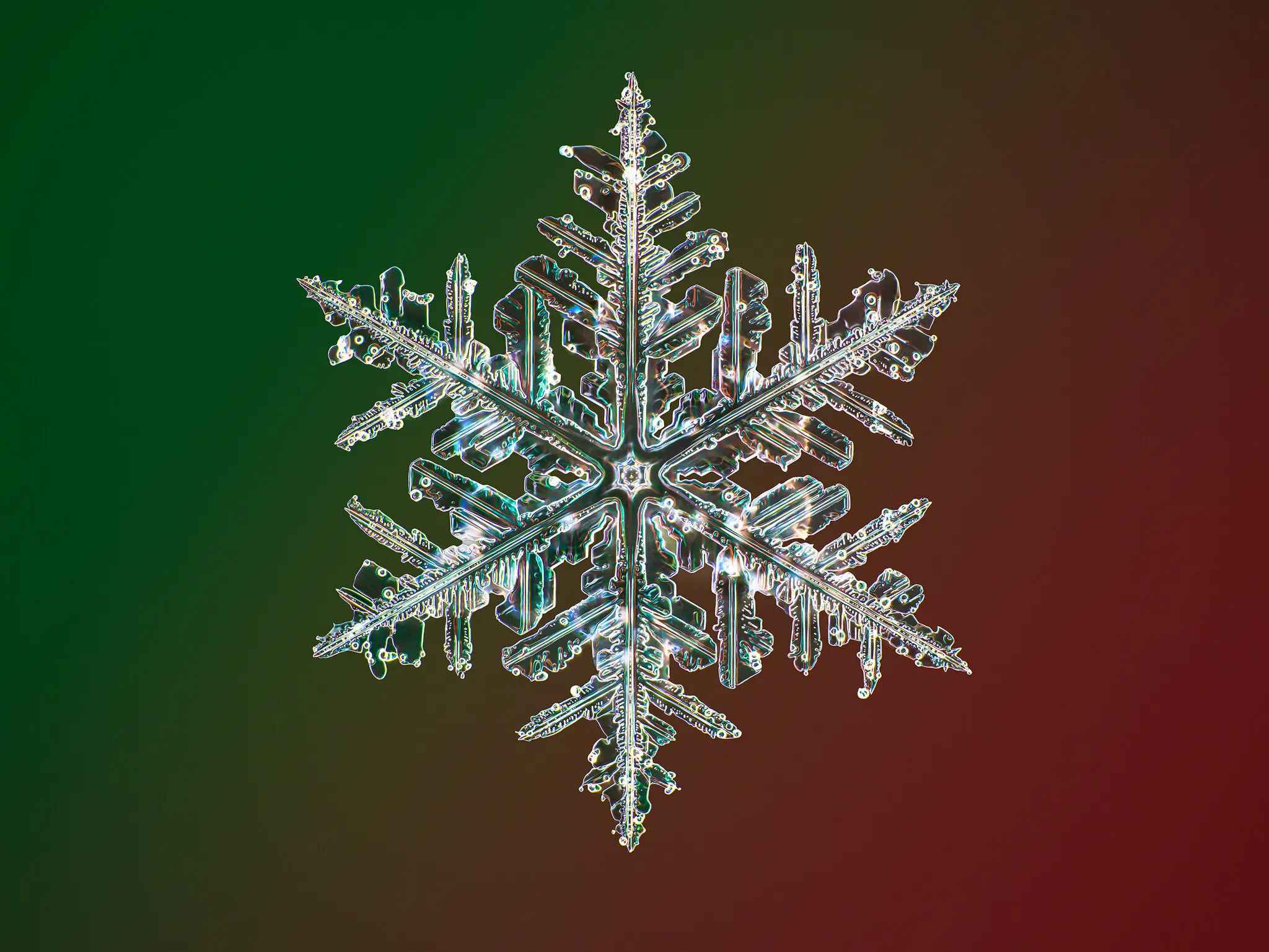 user avatar image for Winter Merten