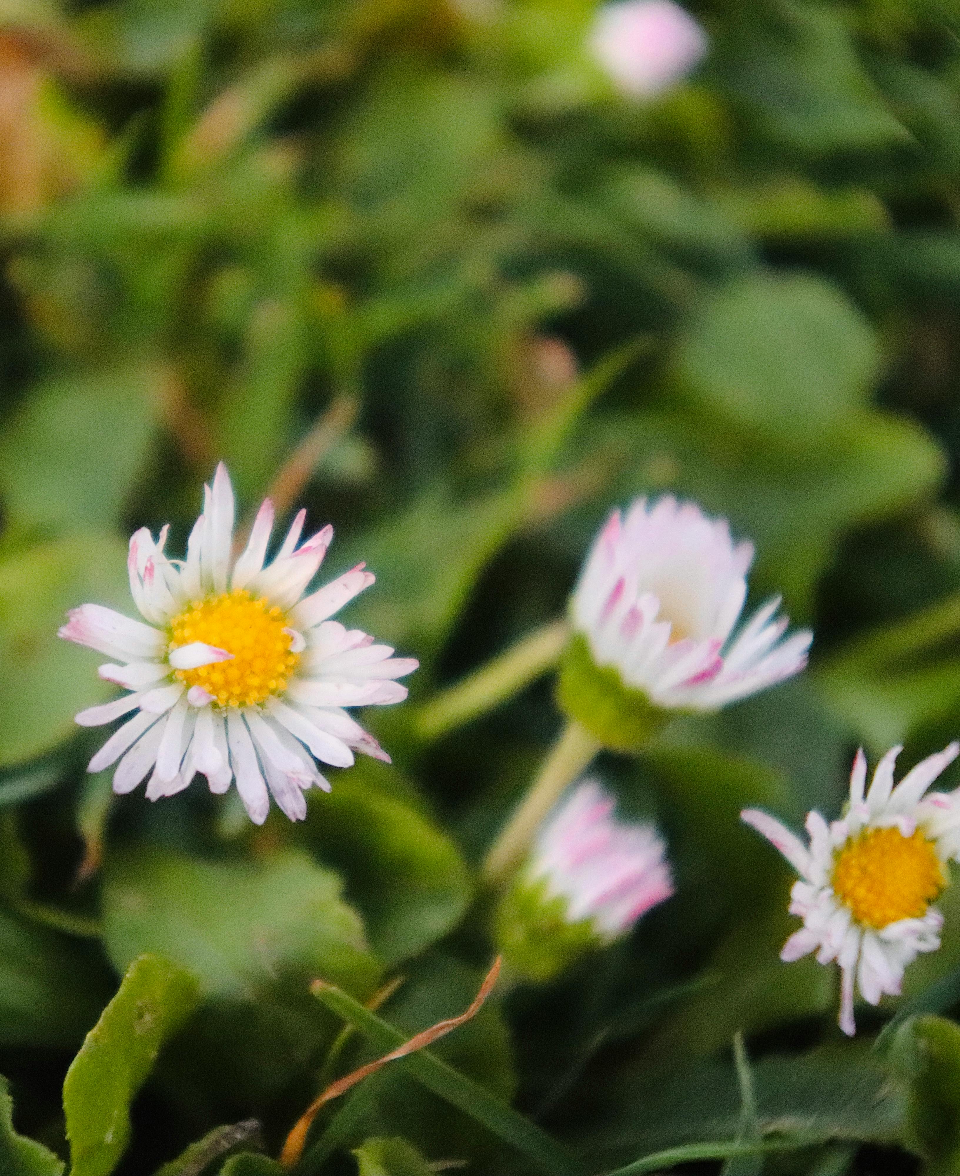 user avatar image for Jenifer 